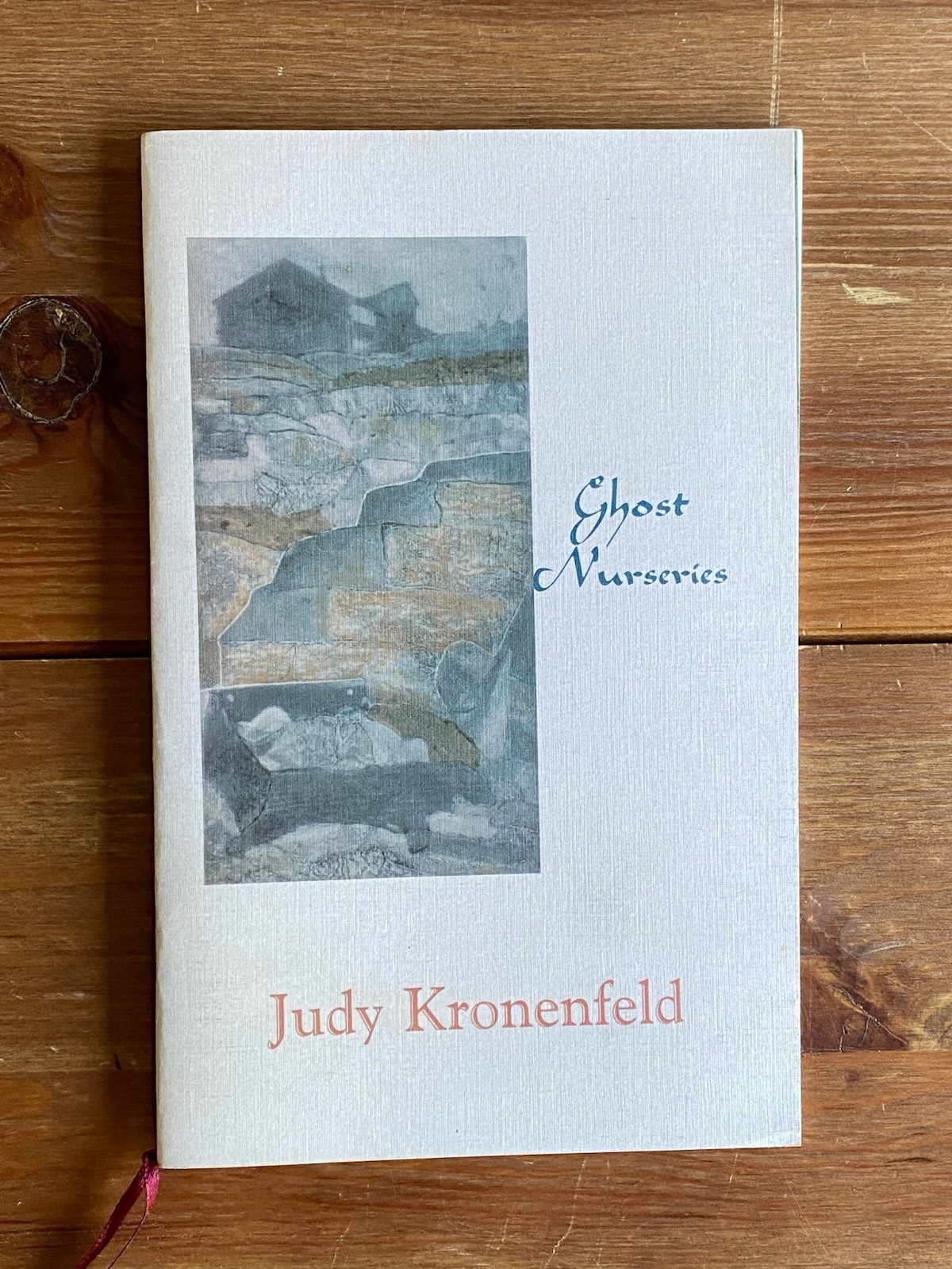 Contemporary Poetry ~ Ghost Nurseries ~ Judy Kronenfeld ~ 1st Ed 2005