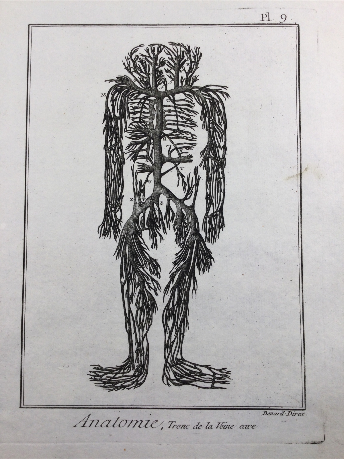 Angiology 1779 Anatomy Vascular Medicine Rare Engraving Encyclopedia Diderot