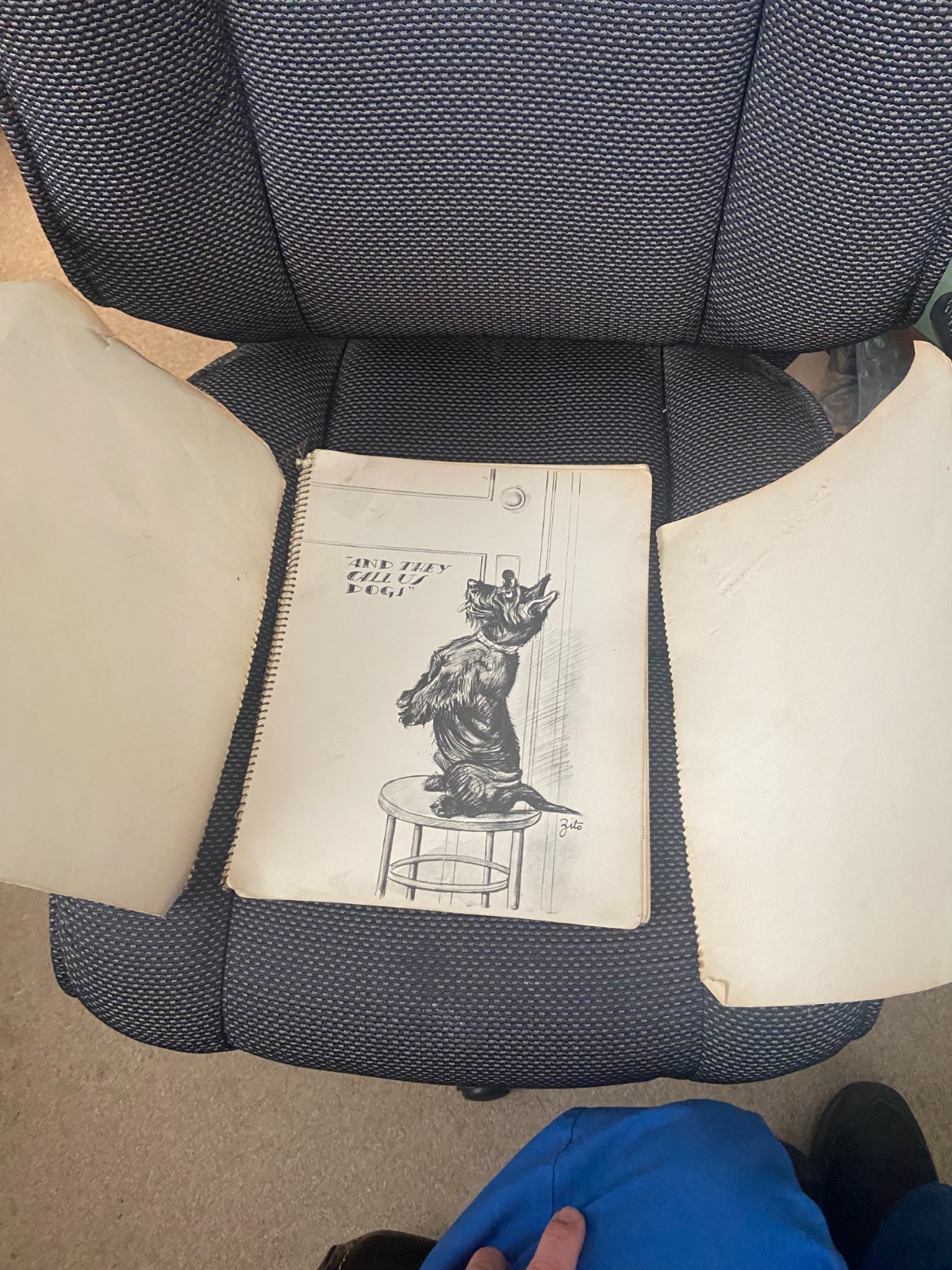 Original 1935 First Edition „DOGS“ by ZITO – Spiral Bound Soft Cover Book