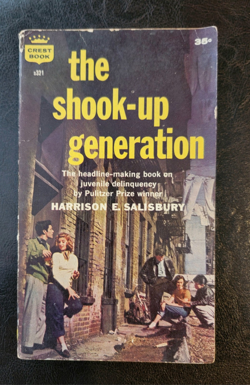 The Shook-up Generation Harrison E. Salisbury Crest s321 1st PB 1959 Vintage JD