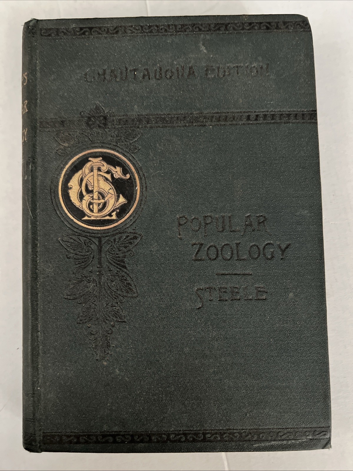 1887 Popular Zoology by J Dorman Steele – Rare First Edition Hardcover Book