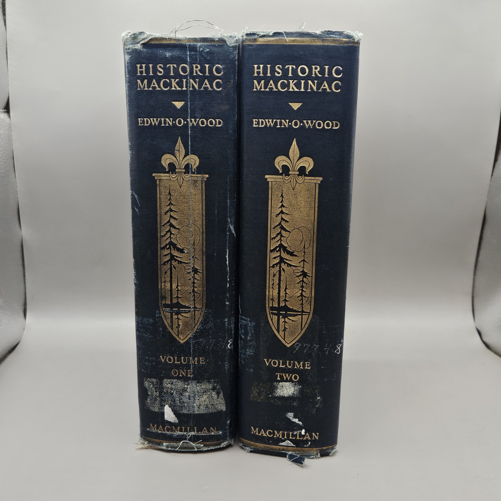 Historic Mackinac By Edwin Wood 1918 HC 2 Volume Set Rare Michigan History