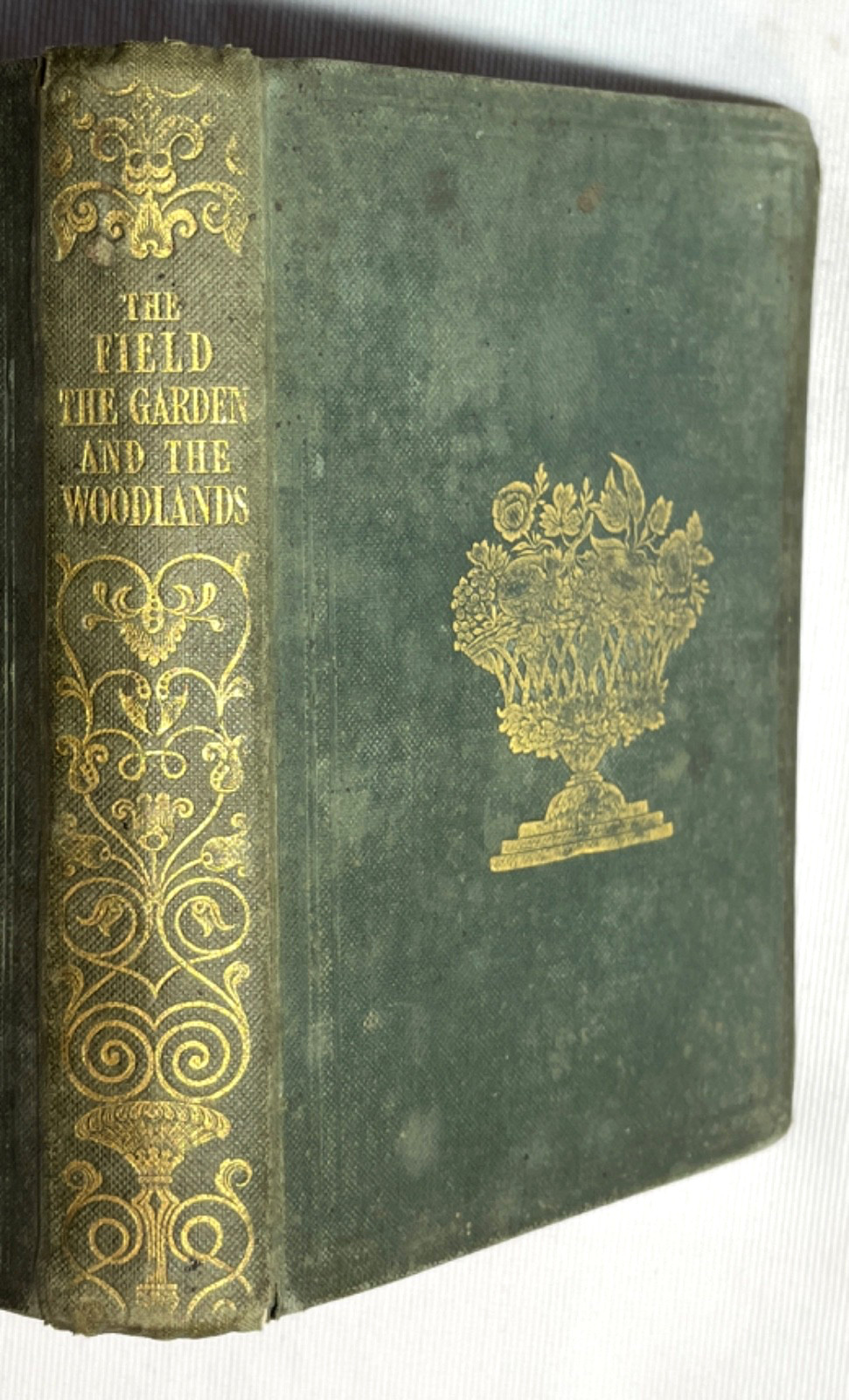 1838 Natural History Botany Field Garden Woodland Illustrated Charles Knight