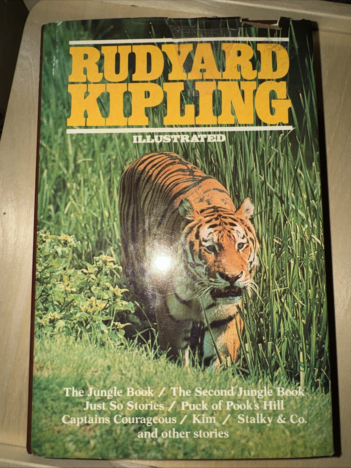 Rudyard Kipling Illustrated Anthology 1982 Avenel Books Hardcover 1st Printing