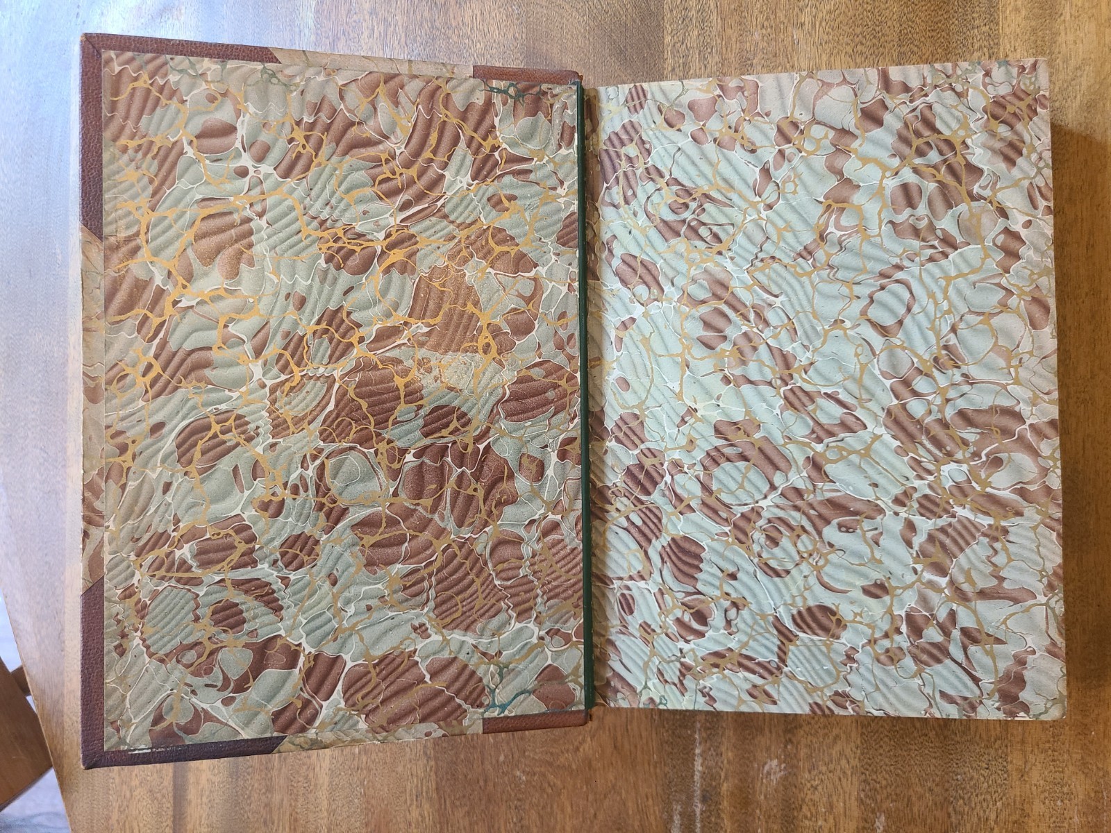 1905 MASTERS IN ART ILLUSTRATED MONOGRAPHS Leather