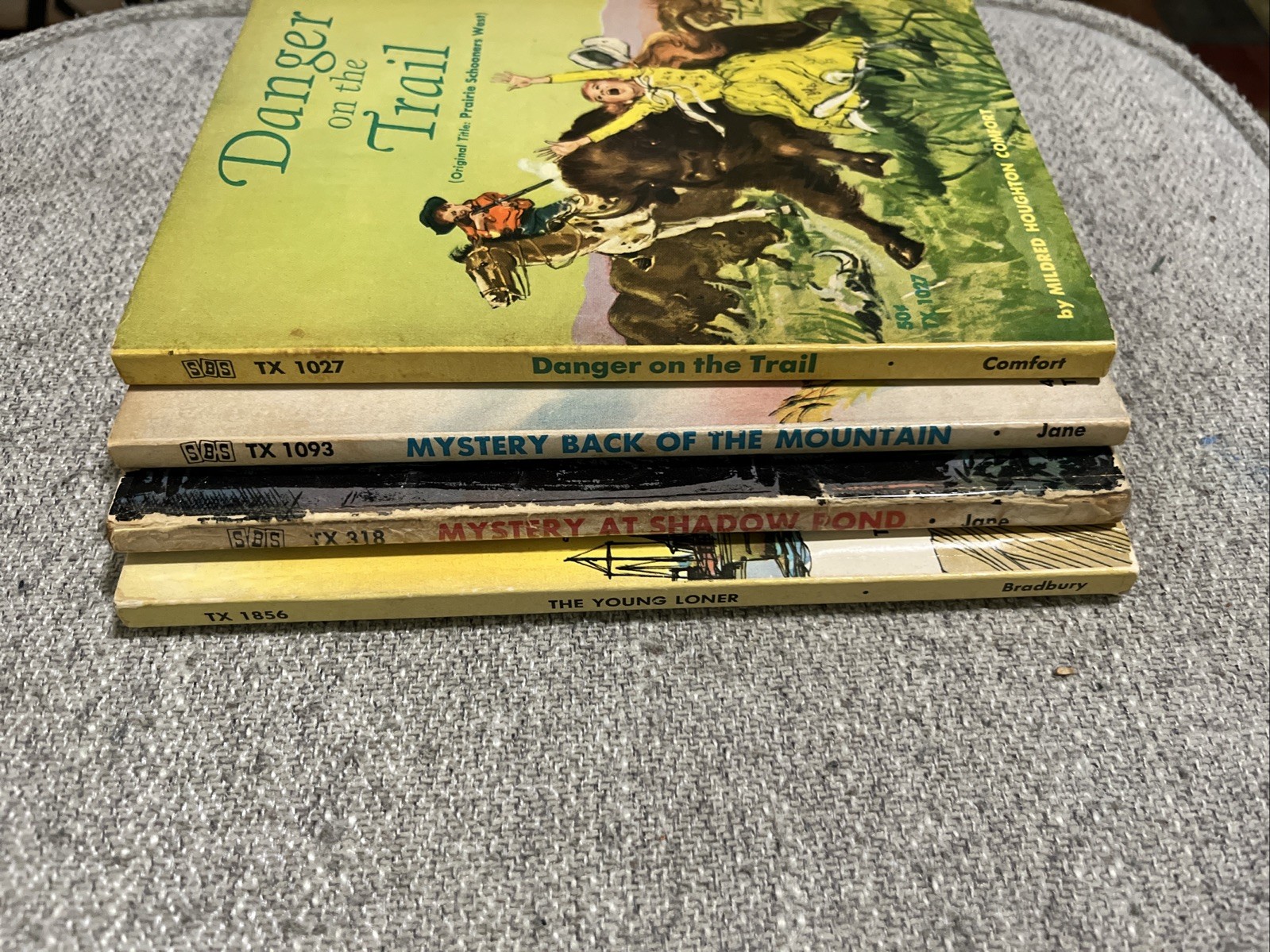 Lot Of 4 Scholastic Books, Various Genres, Various Publication Dates