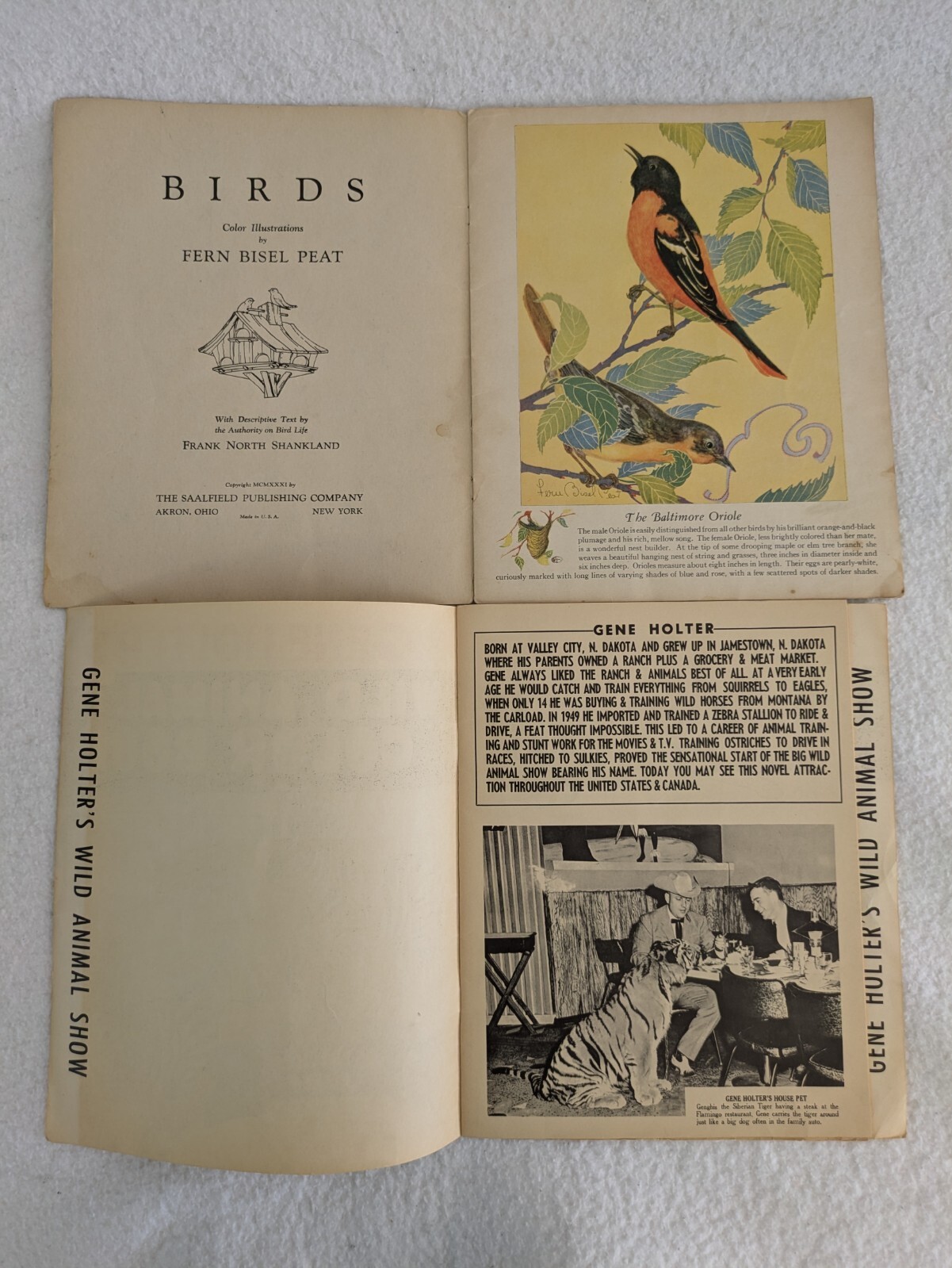 Lot of 6 Vintage CHILDREN’S ANIMAL PICTURE BOOKS Birds Wild Animals Kittens