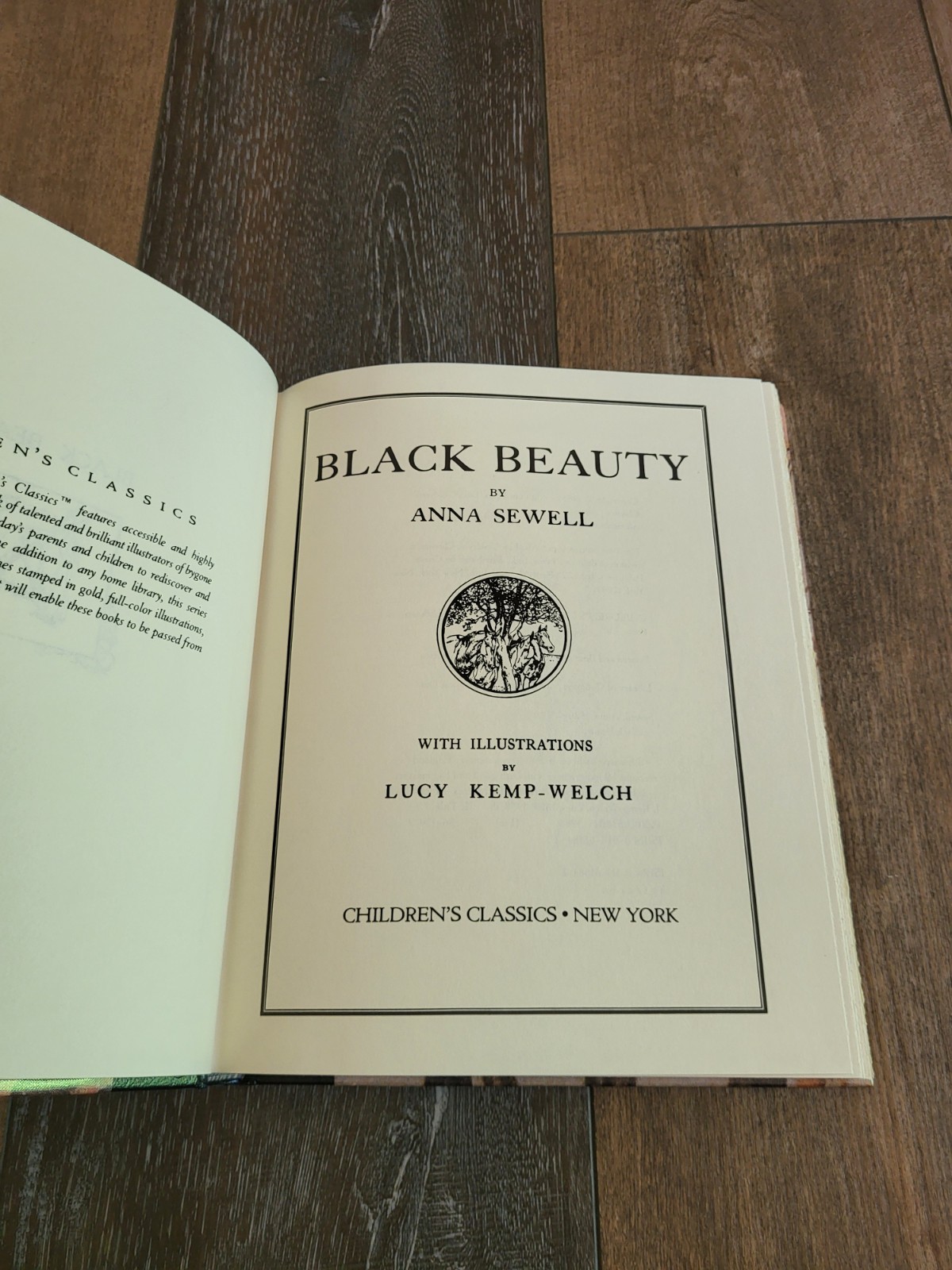 Vintage Childrens Classics Heidi Black Beauty Bonded Leather Slipcase Book Set
