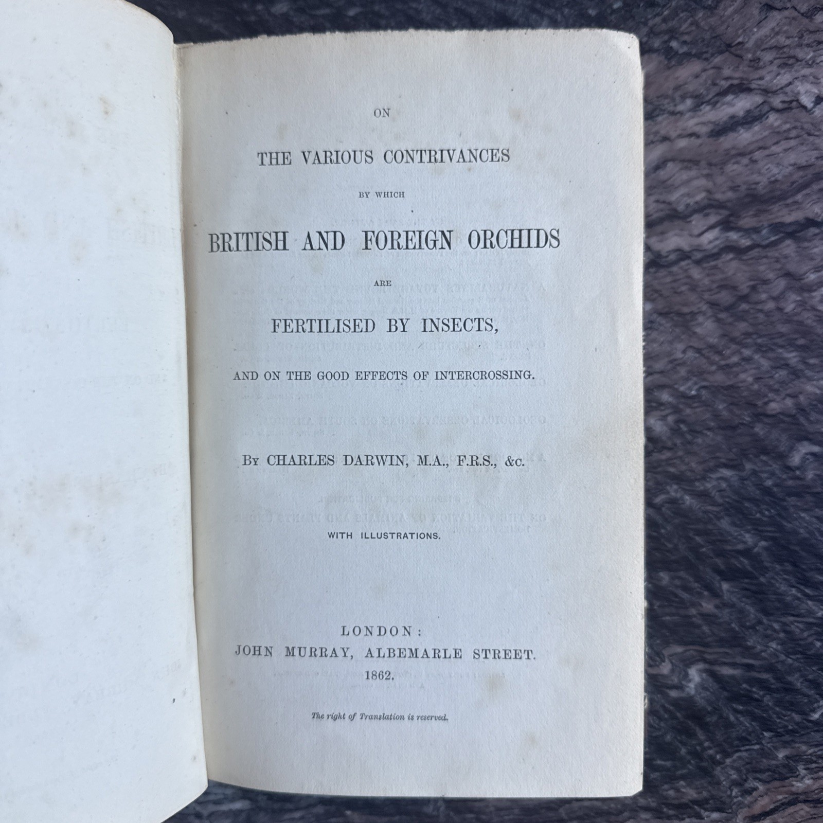 Charles Darwin 1st Edition Fertilization of Orchids London 1862