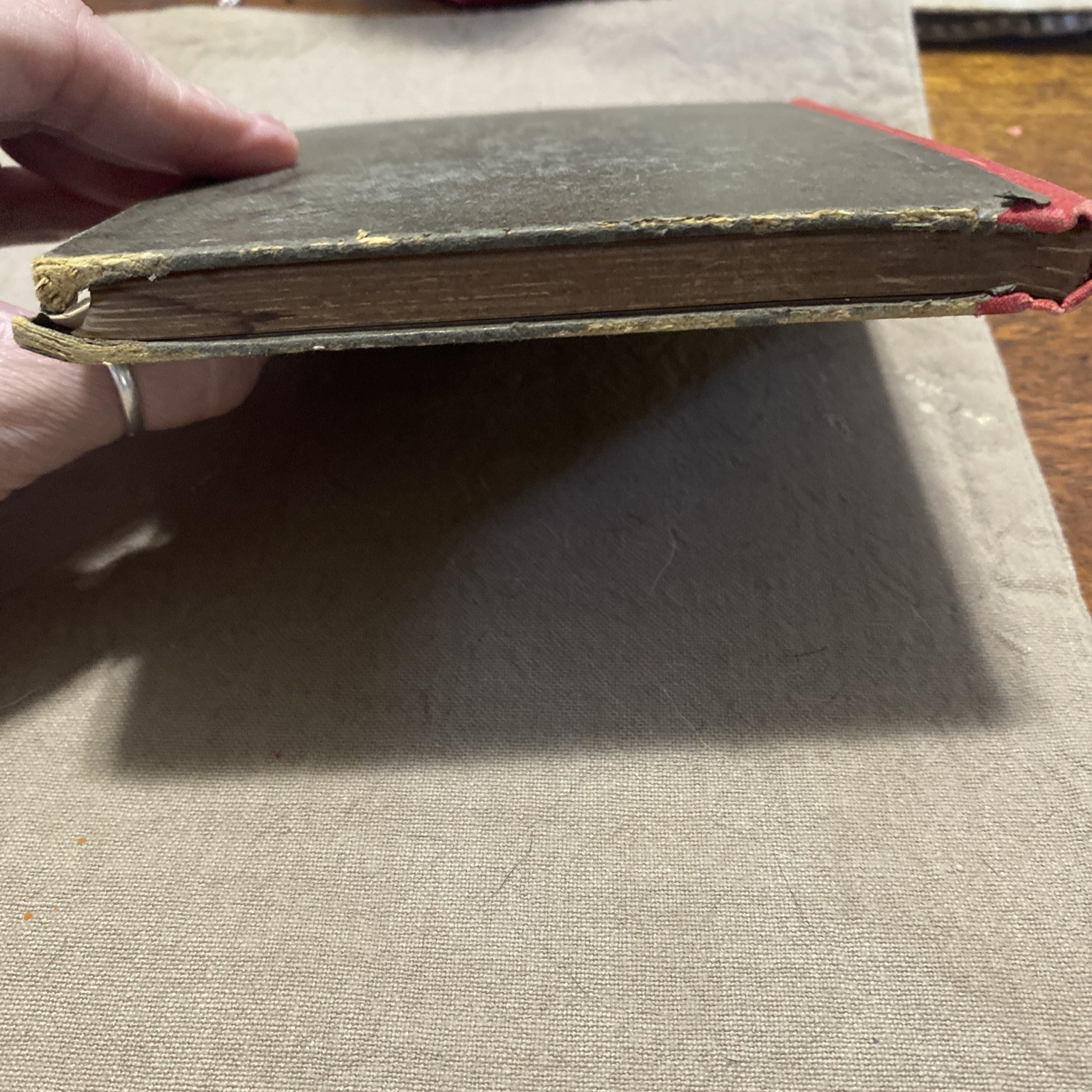Antique Germán Fairy Tale Anthology 1890’s Neues aus dem Zauberlande