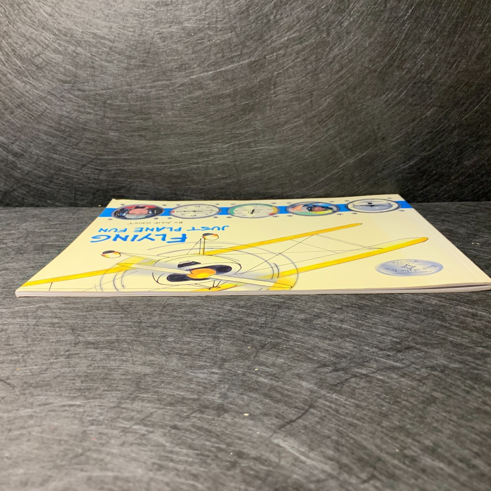 Flying Just Plane Fun by Julie Grist Vintage Kids Aviation Picture Book