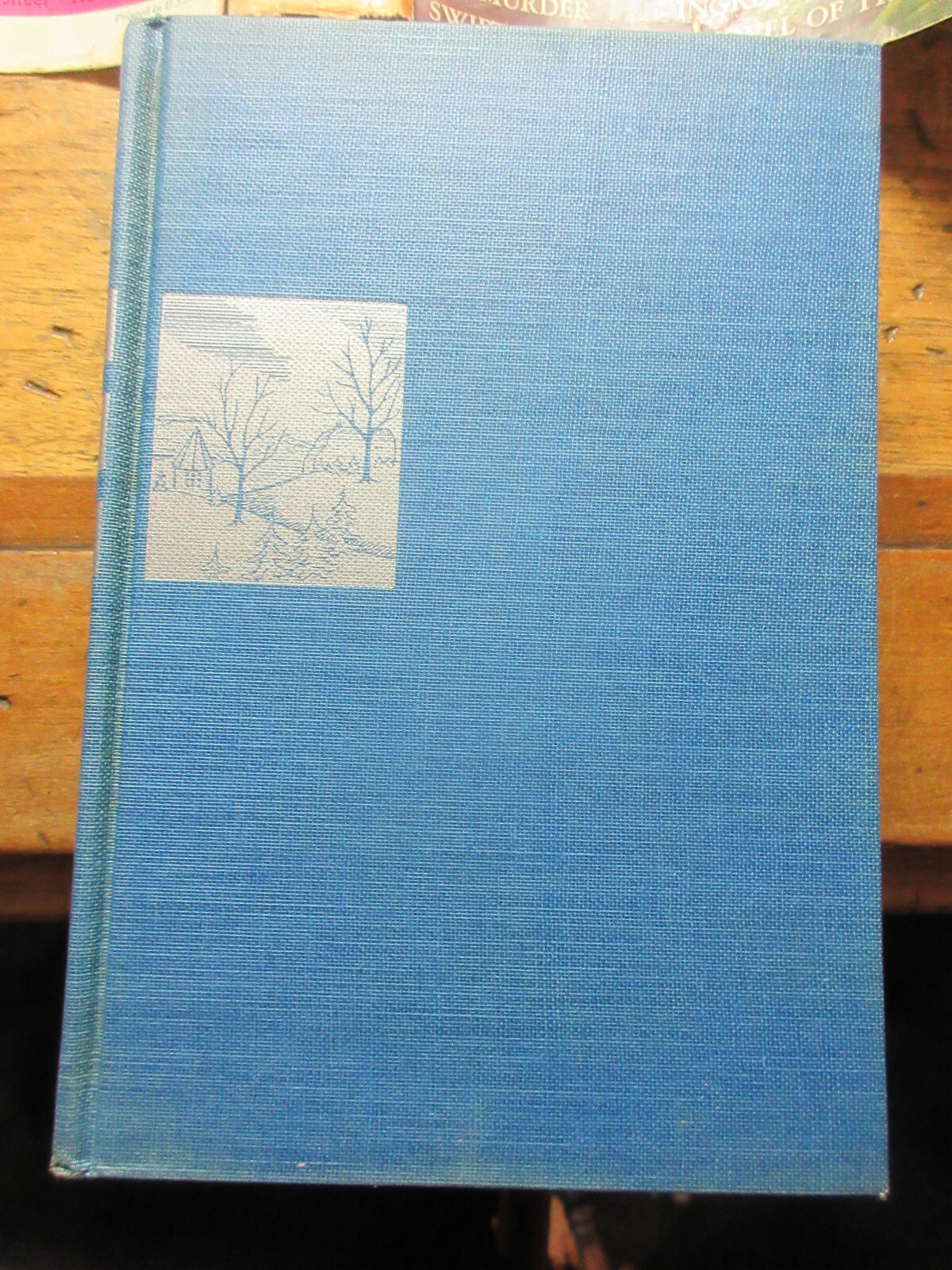 Danger in the Dark by Mignon G Eberhart (1941, Hardcover) Dust Jacket DJ