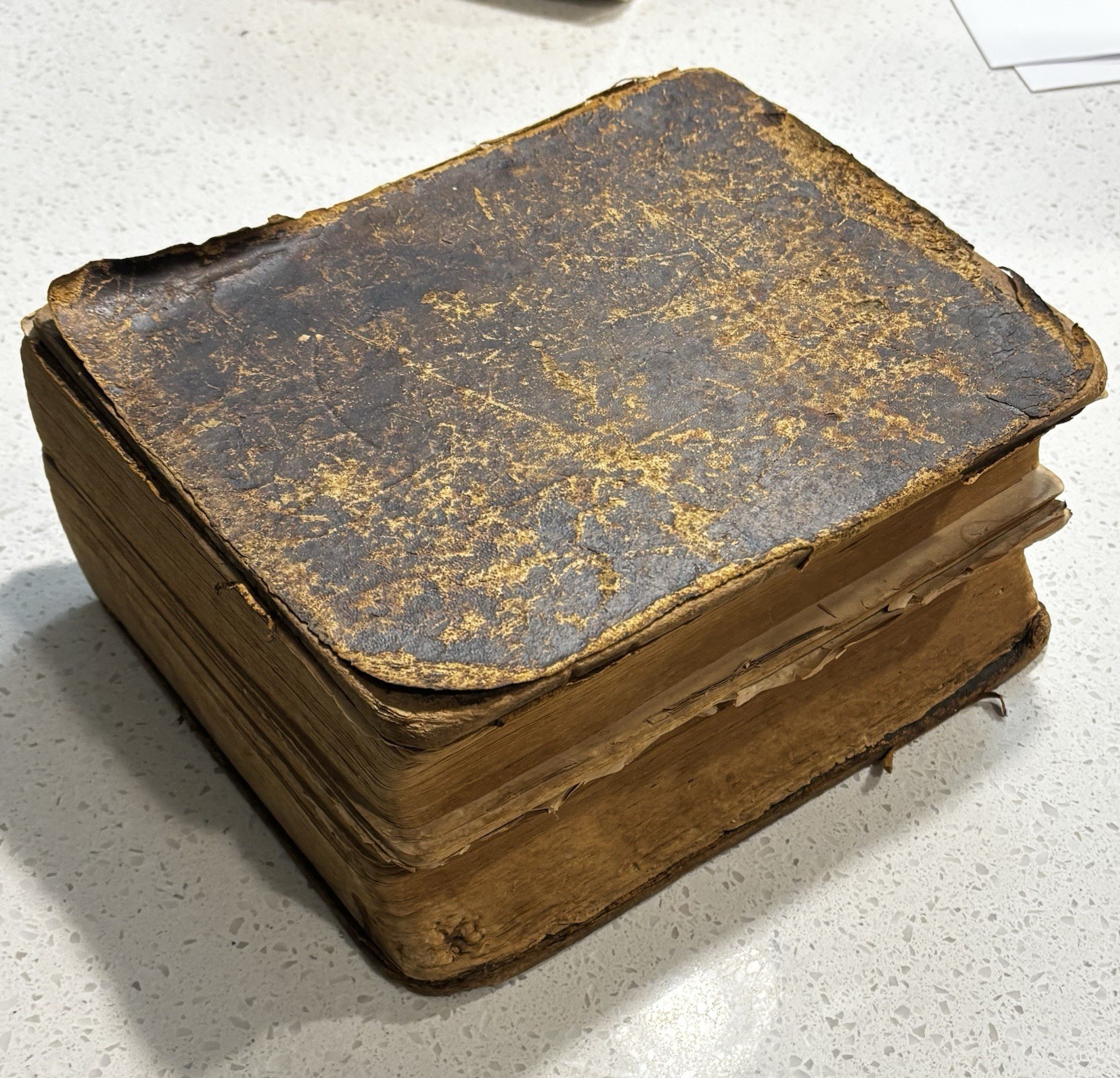 Noah Webster Leather Bound Unabridged Dictionary Super Rare Antique 1859