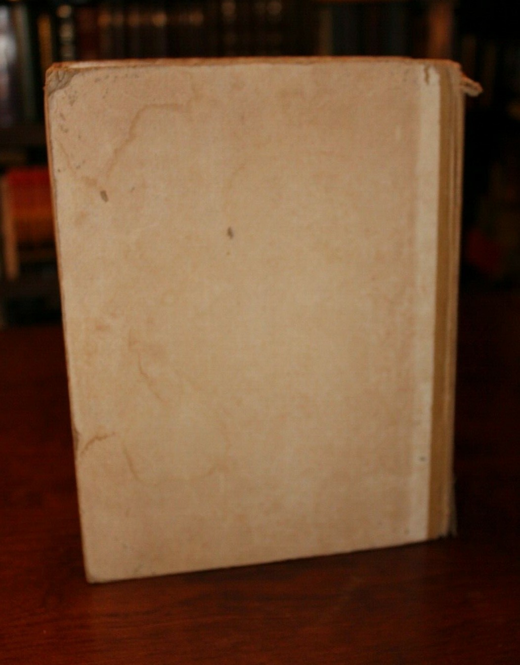 YOUNG FOLK’S MAMMOTH STORY BOOK by The Goldsmith Publishing Company (Antique)