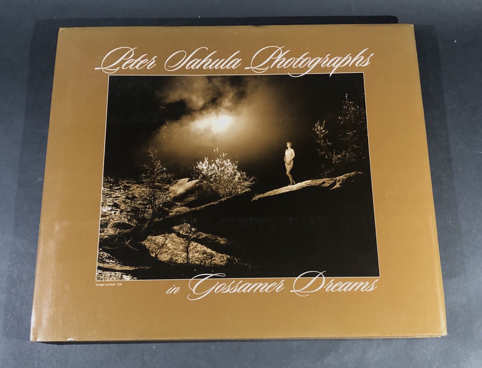 FINE ART NUDES “Gossamer Dreams” by PETER SAHULA – “Signed” #75 HCVR Mint **