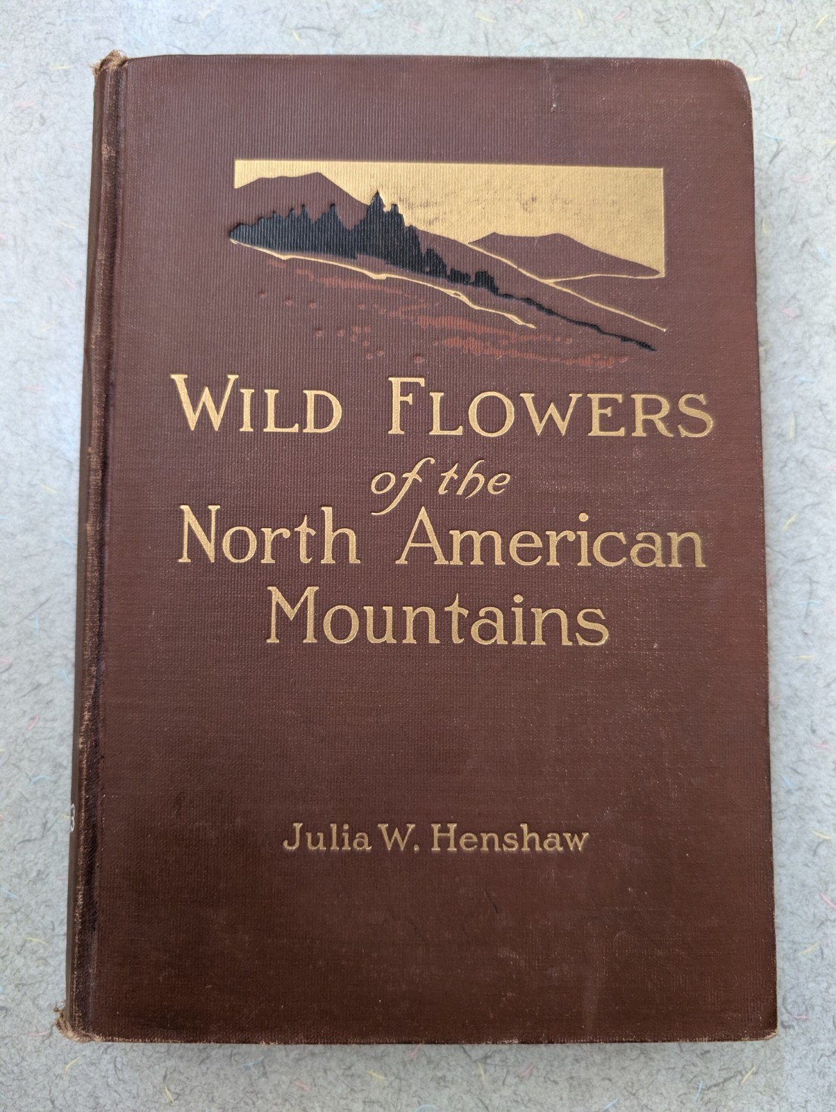 Wild Flowers of the North American Mountains, Julia W Henshaw VINTAGE 1917 HC