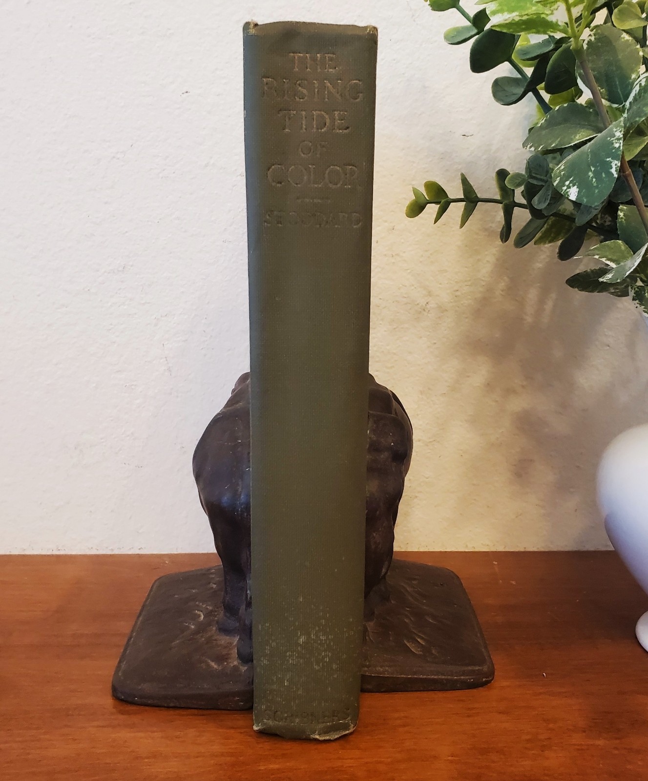 LOTHROP STODDARD The Rising Tide of Color White Supremacy HC TRUE 1st Ed!