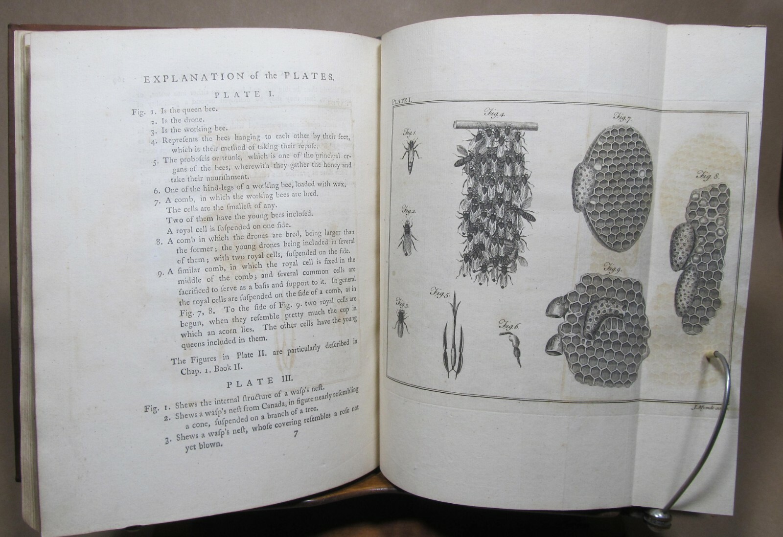 A Treatise on the Management of Bees by Thomas Wildman London 1768 rebound