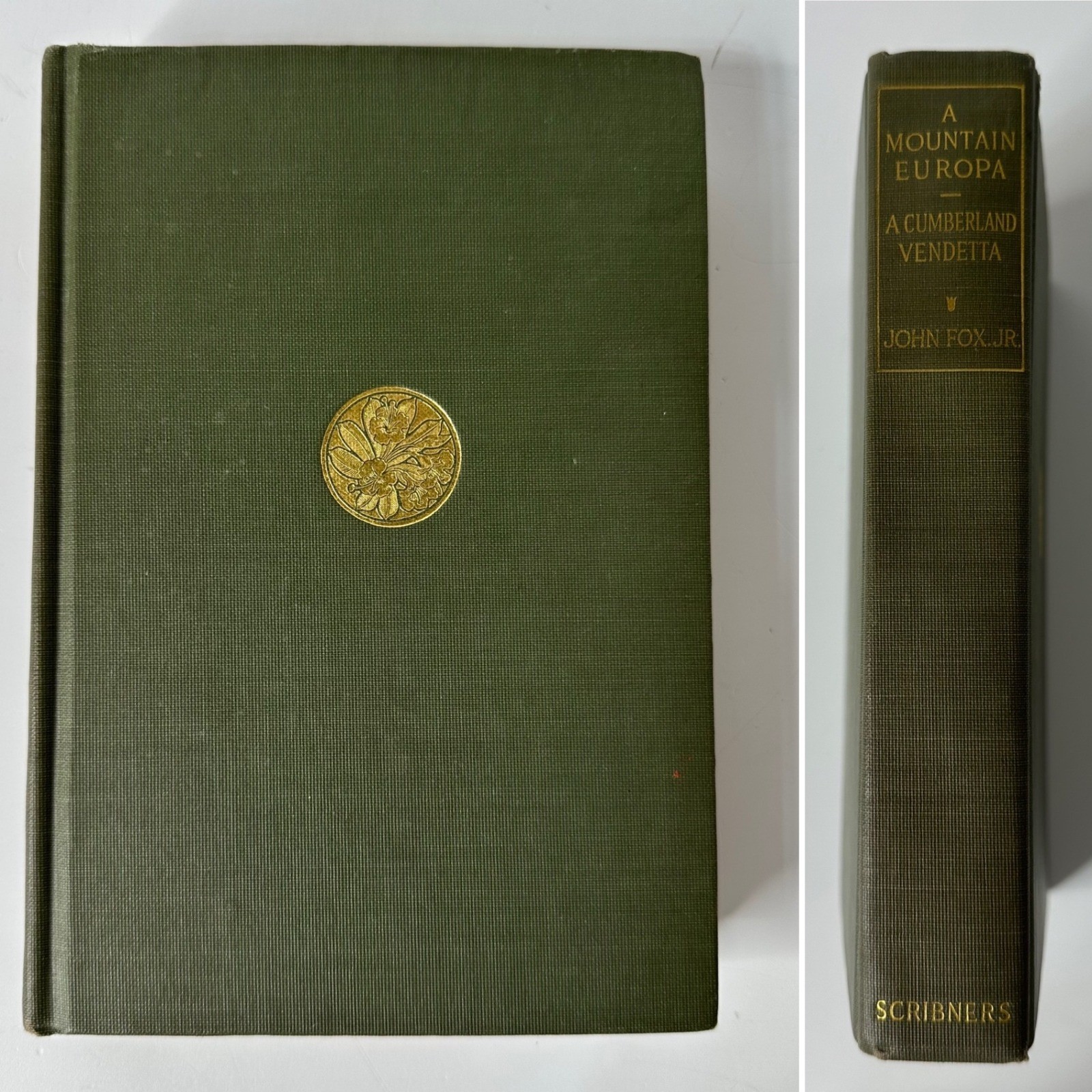A Mountain Europa 1909 Hardcover Book John Fox Jr Antique Green Home Decor
