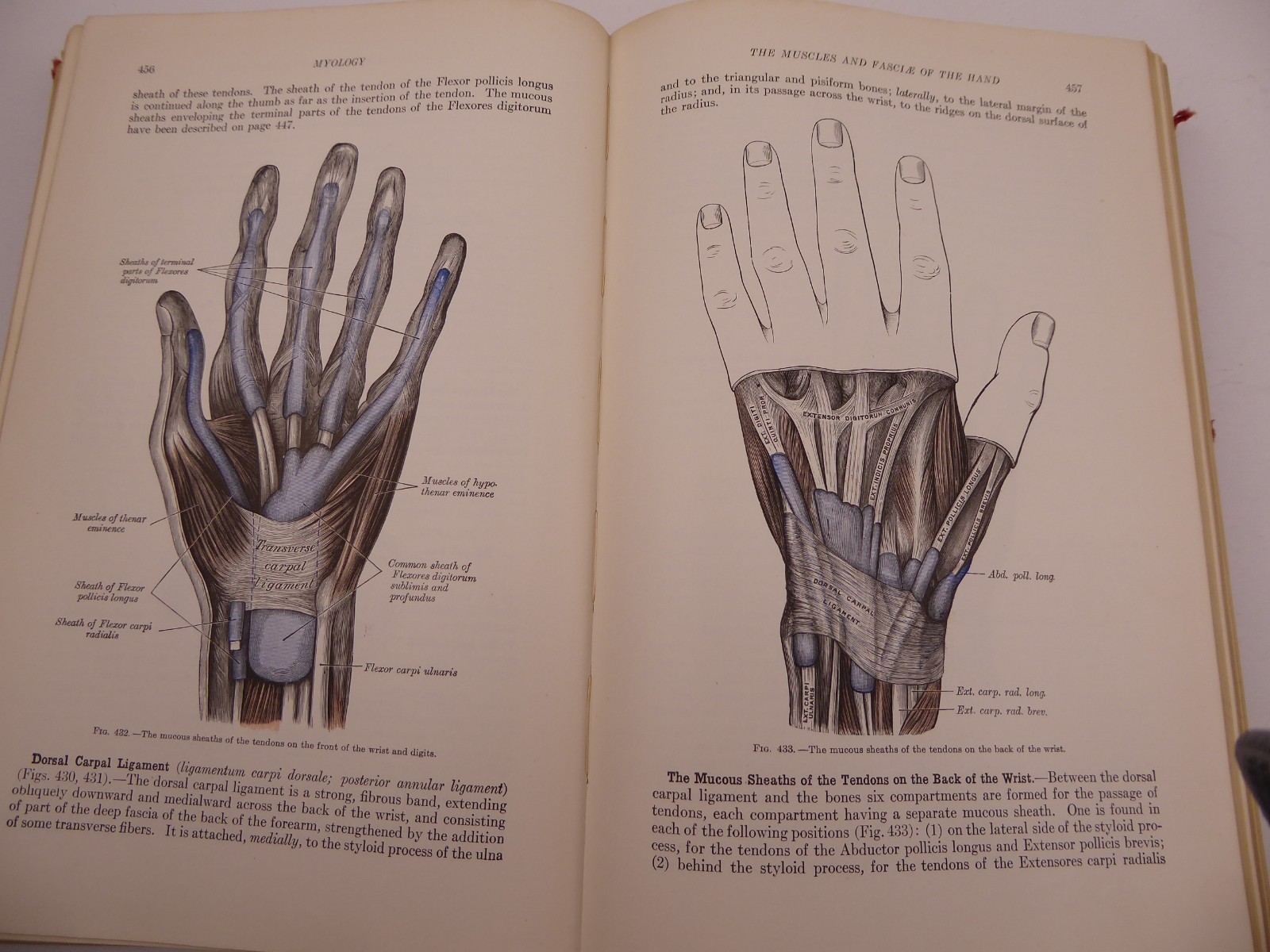 Grays Anatomy 1930 Twenty-Second Edition Henry Gray F.R.S