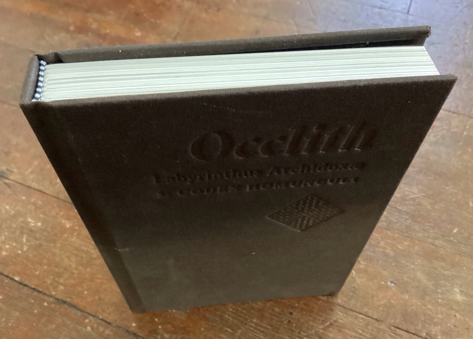 Occlith – Labyrinthus Archidoxae: Vol 1. Codex Homunculi