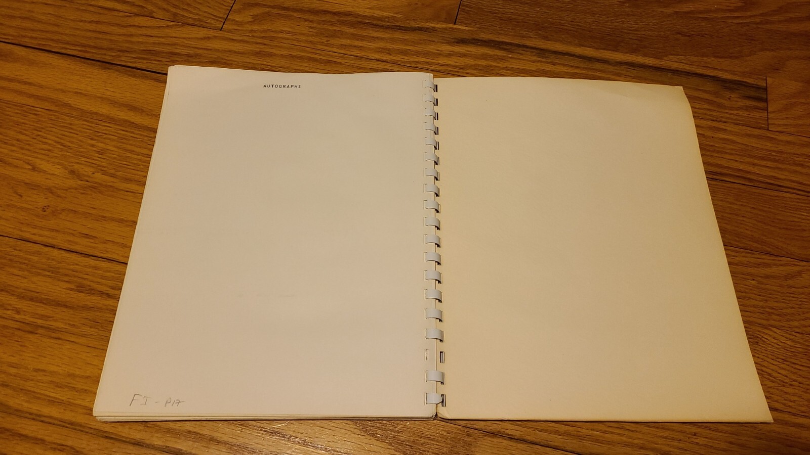 Town of Sweden Sesqui-Centennial Celebration Book 1964 Monroe County NY USA