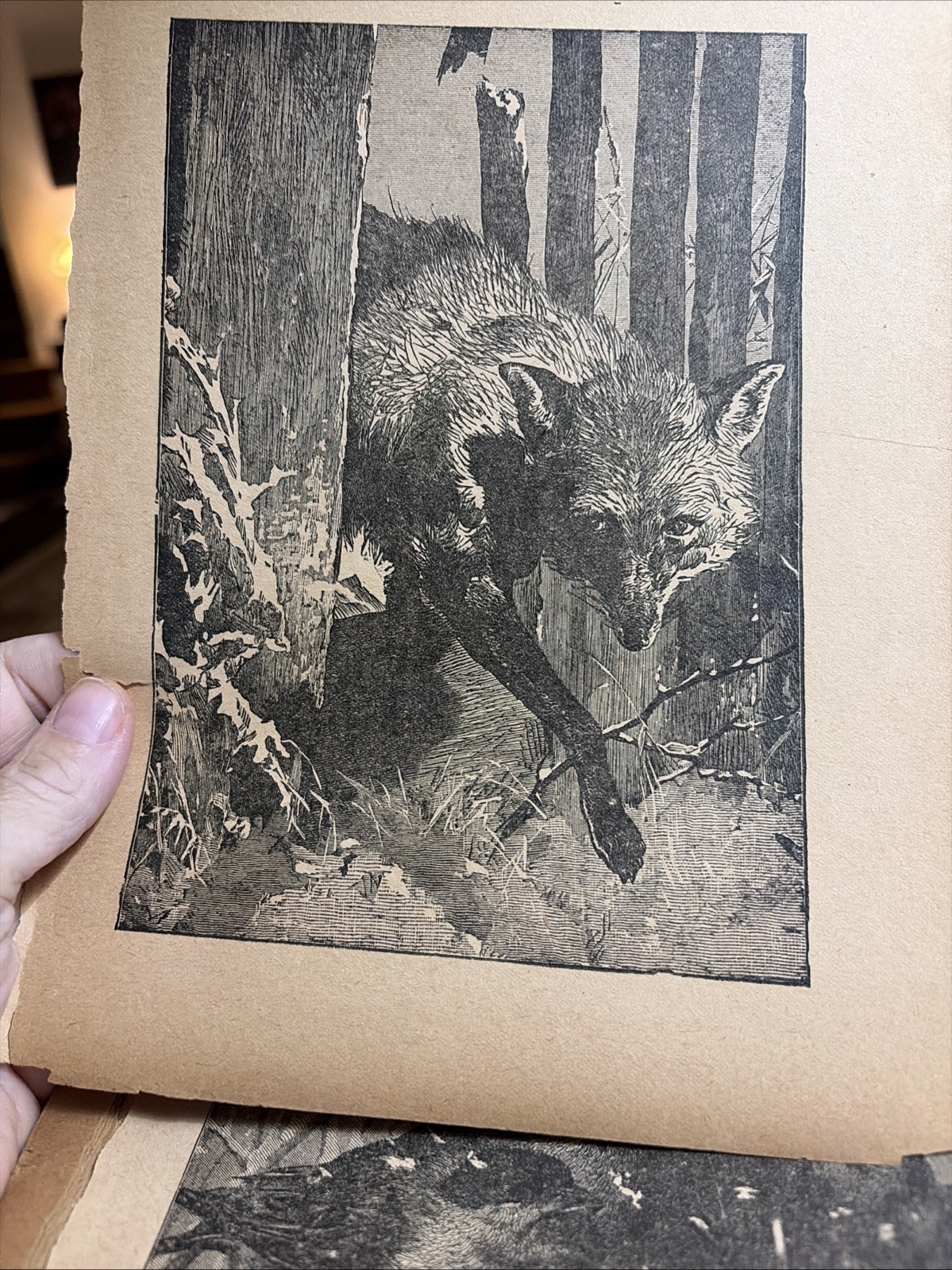 Jolly Surprise Story Book McLoughlin Bros- As Is- crafts art pages to frame