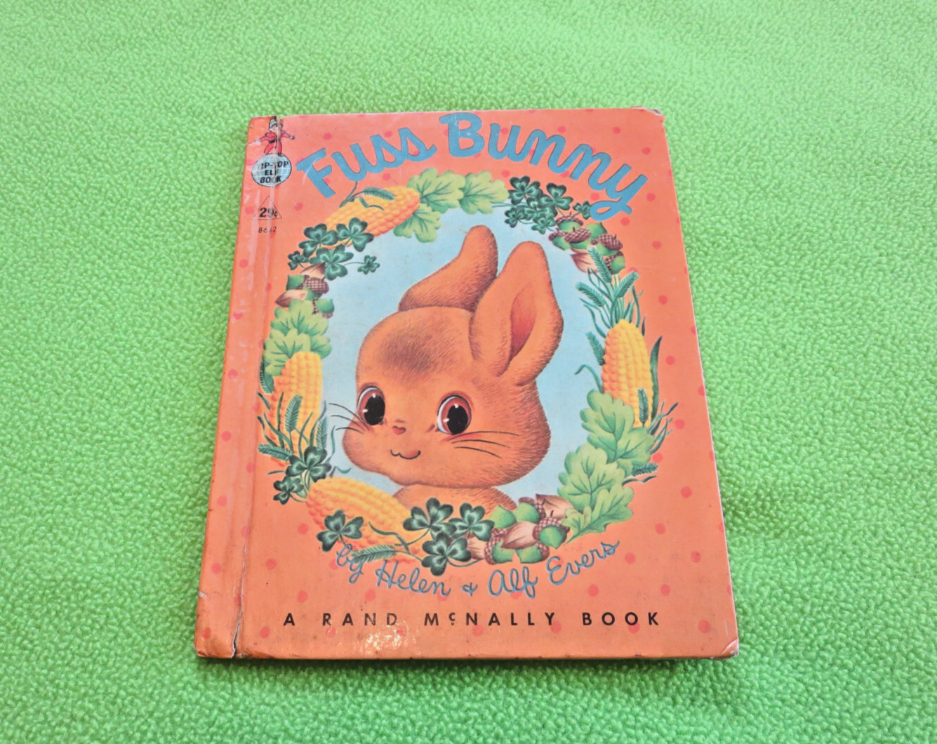 Fuss Bunny A Rand Mcnally Tip-Top Elf Book 1955
