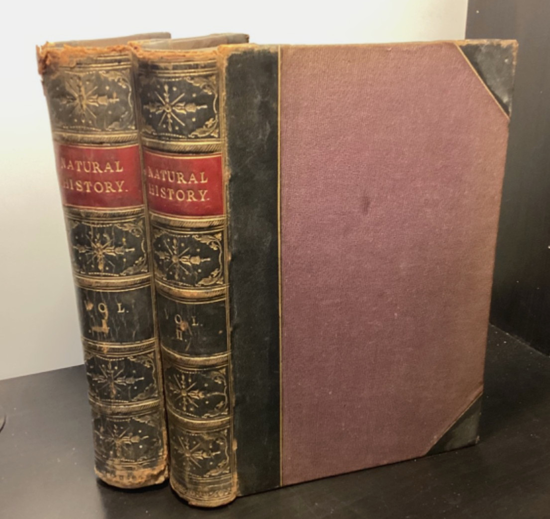 C. 1875 2 Vols., The Museum Of Natural History -Richardson Et. Al.- With Plates
