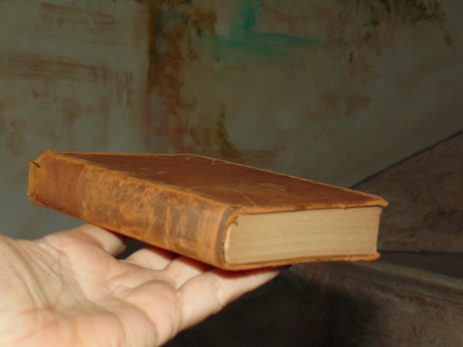 RARE 1893 Archaeologia Graeca AD Palantini Codecis III Full Leather Pocket Book