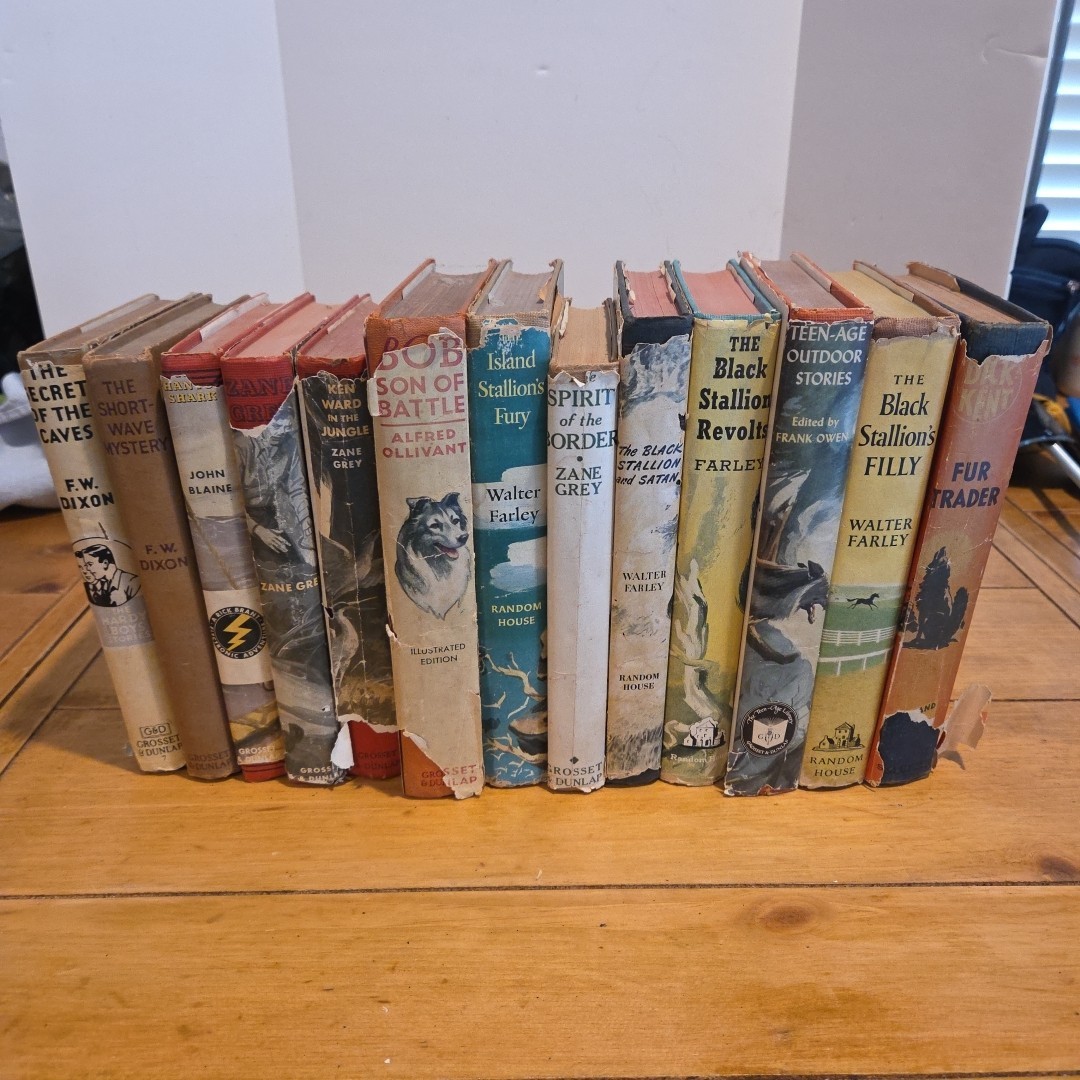 Lot of 13 Vintage Boys Action Adventure Books 1940s 50s Hardcover Hardy Boys