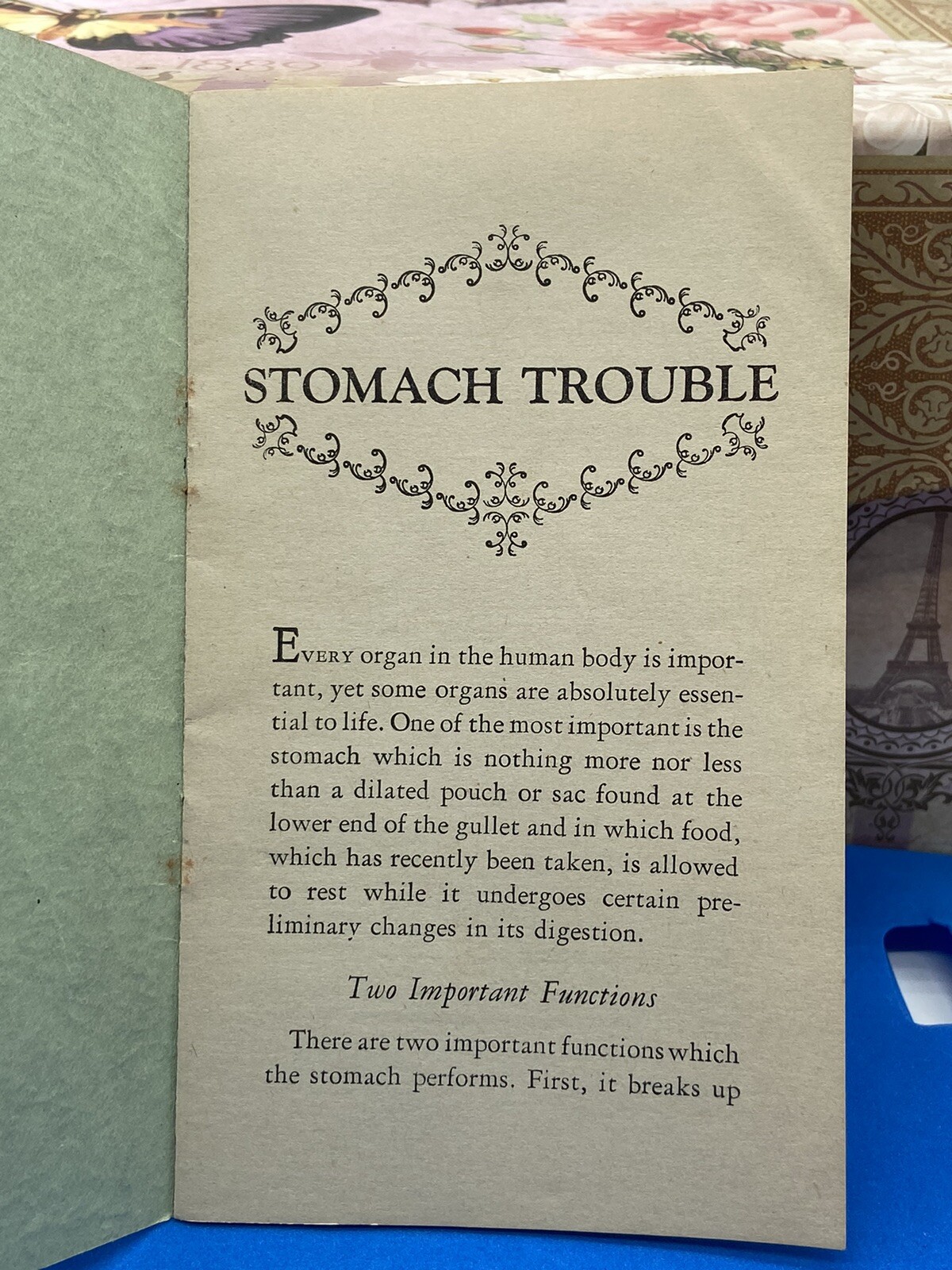 Vintage Chiropractic Pamphlet Dr Netzer Stomach Trouble Monett Cape Girardeau MO