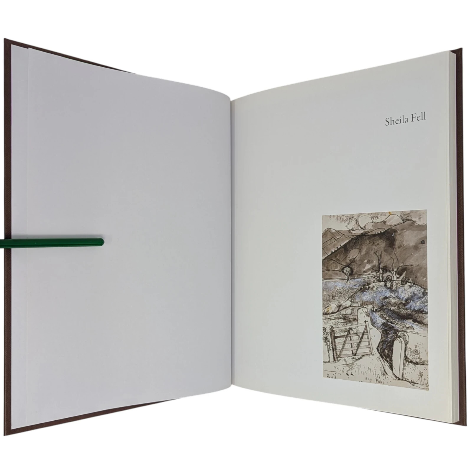 SIGNED Sheila Fell – A Passion for Paint CATE HASTE Lund 2010 FIRST EDITION
