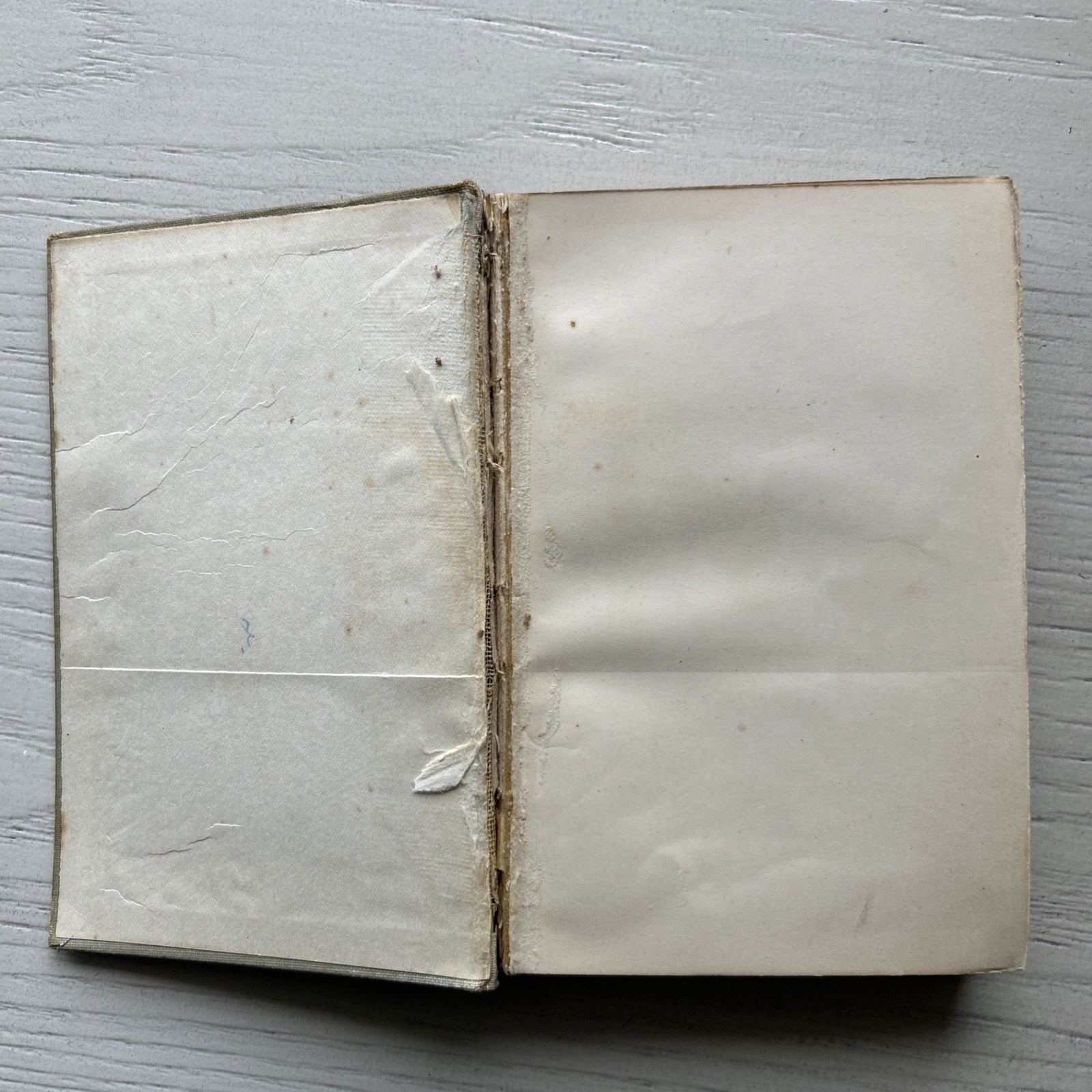 Miss Mulock’s Fairy Book published by H M Caldwell New York RARE FIND