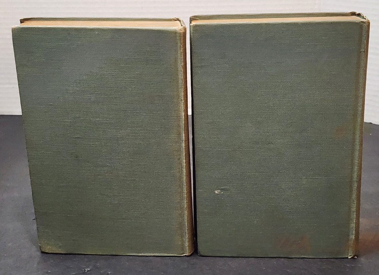 TWO WILD CHERRIES AND TWO WILD CHERRIES IN THE WOODS BY HOWARD R. GARIS 1924 HC