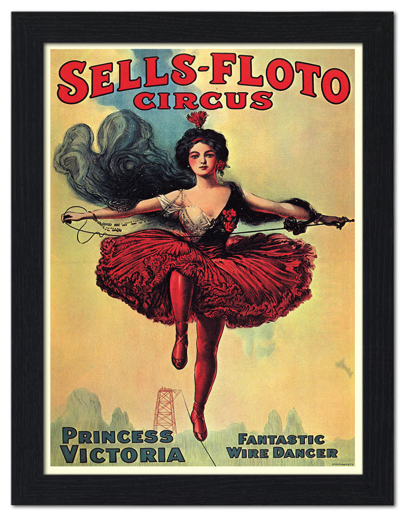 American Circus History, Ringling Brothers, Books, Photos, Brochures PDF DVD E65