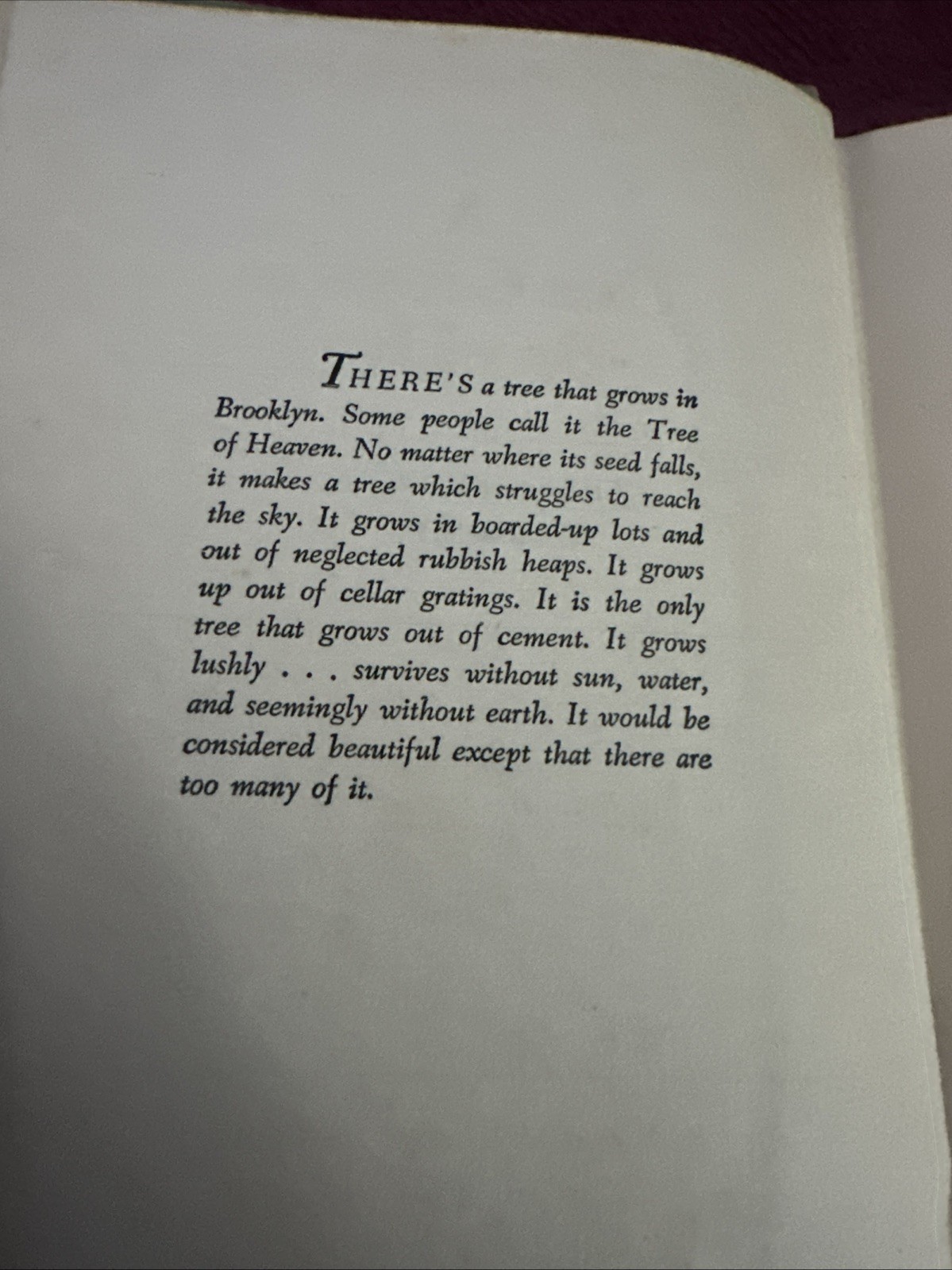 1st Ed. A TREE GROWS IN BROOKLYN Betty Smith 1943 Unstated HC Ok Cons