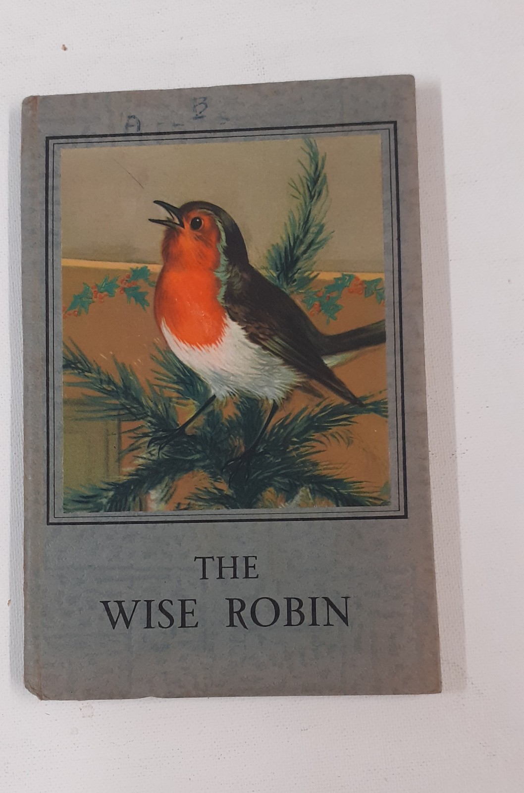 The Wise Robin Book By Noel Barr Vintage Storybook Charity Sale