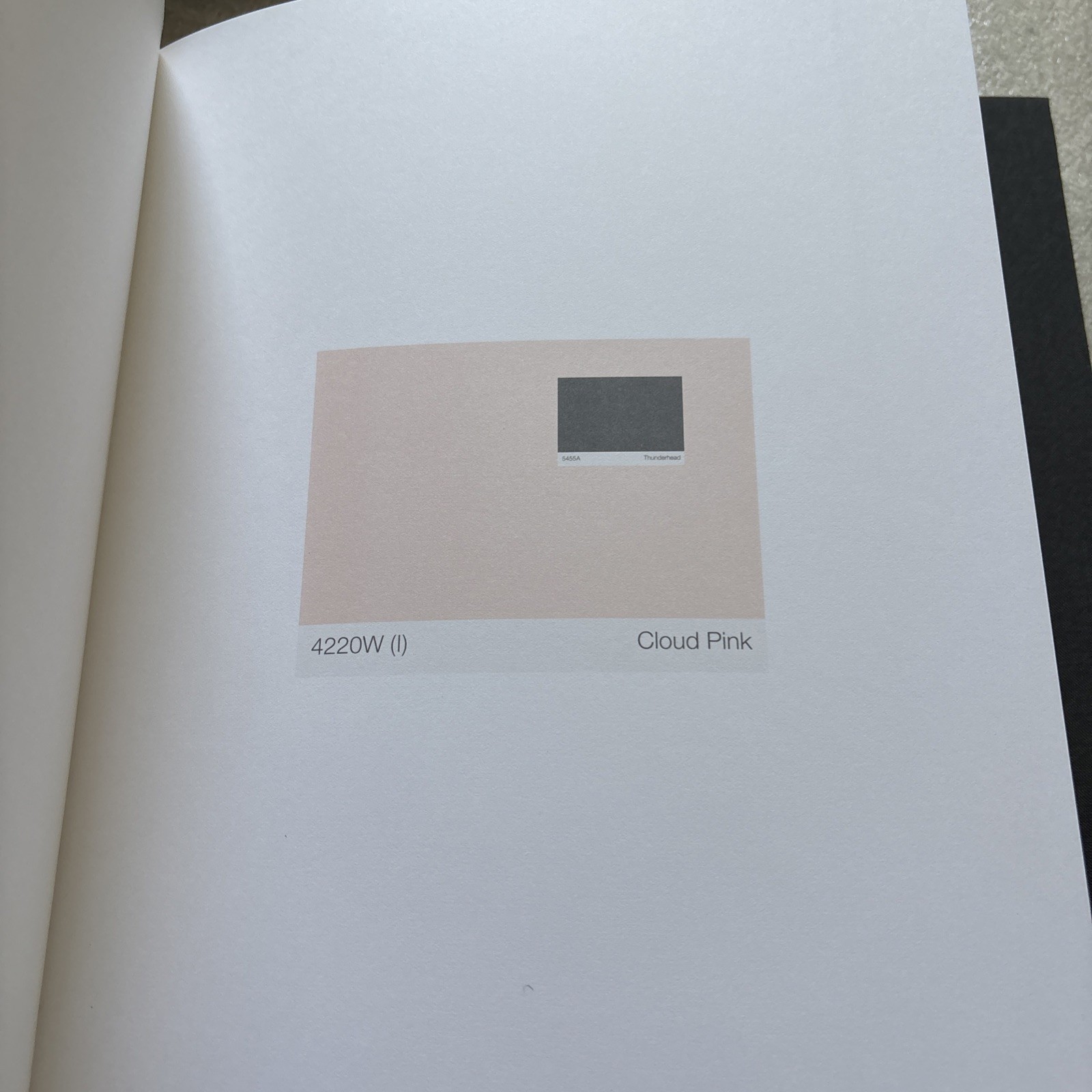 PETER WEGNER Remarks on Color #13/100 Signed & Limited Editions 3 Vol. In Box HC