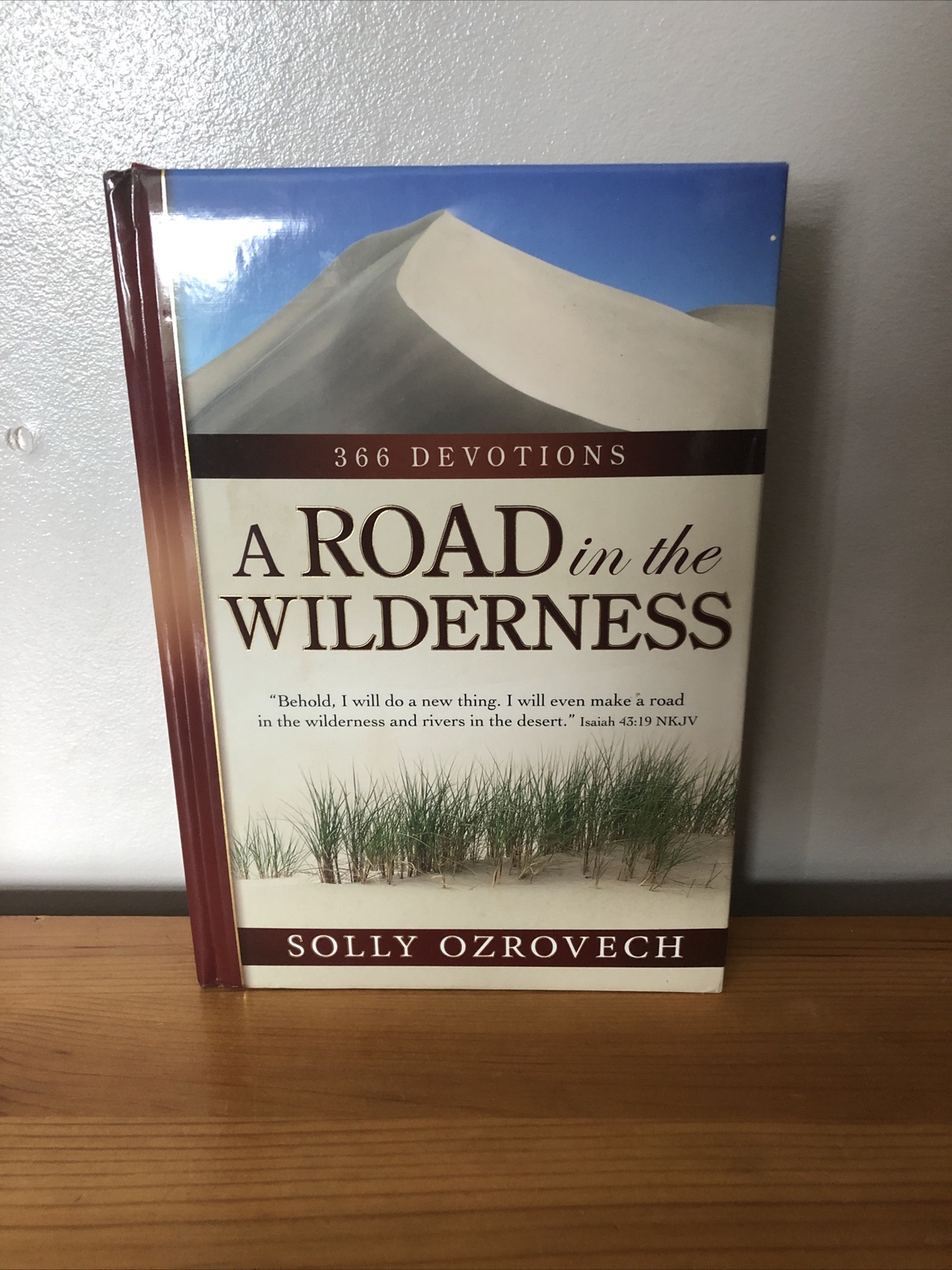 ROAD IN THE WILDERNESS – SOLLY OZROVECH RARE HARDBACK 1st Edn 2008