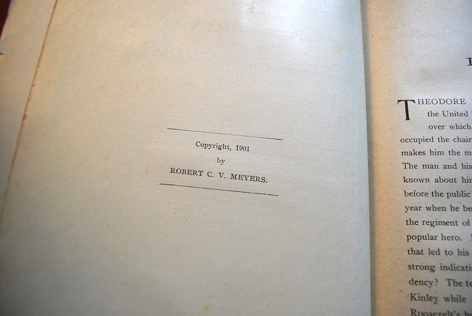 RARE 1901 Hardcover Book THEODORE ROOSEVELT PATRIOT & STATESMAN Illustrated 1st