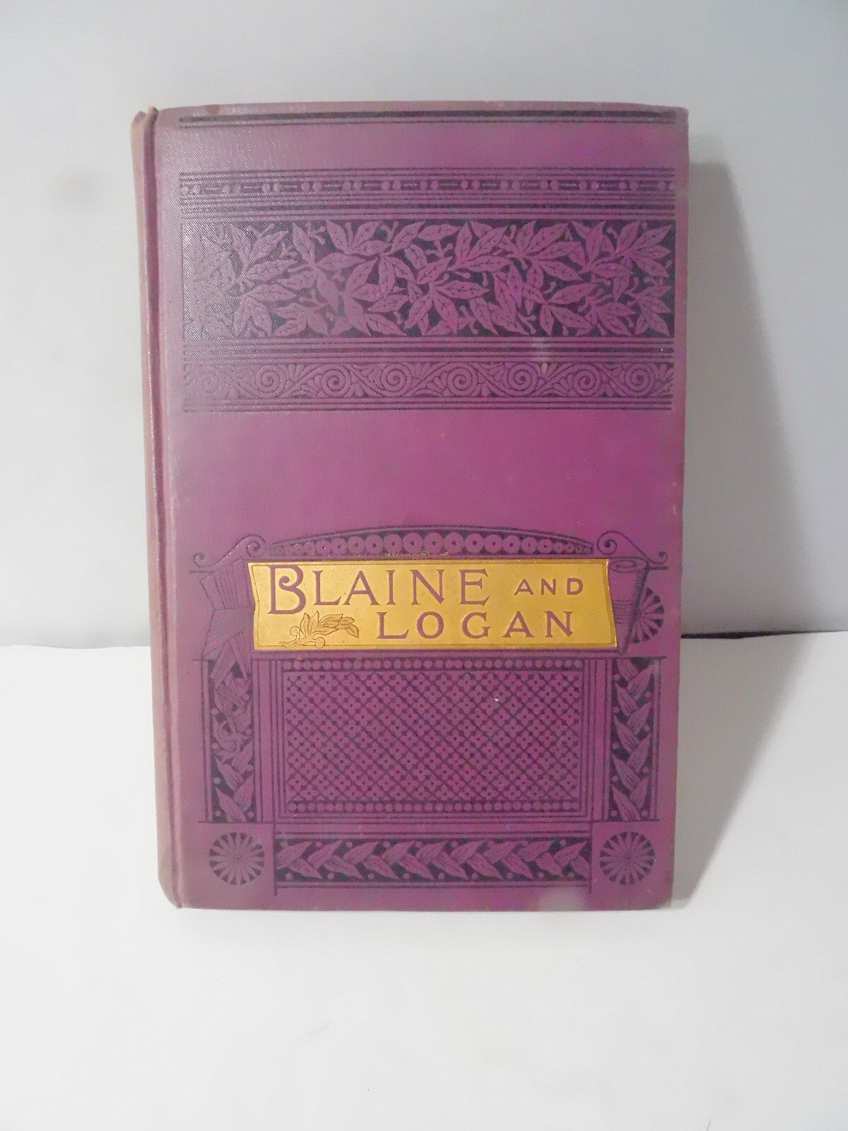Life & Public Service of Hon James G.Blaine & Gen John Logan 1884