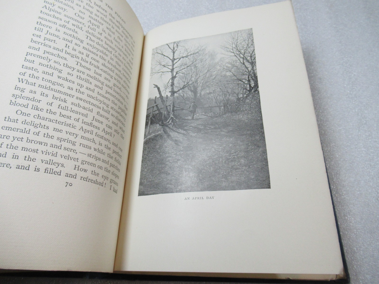 1896 A Year in the Fields (USA) – Selection of Writings From John Burroughs