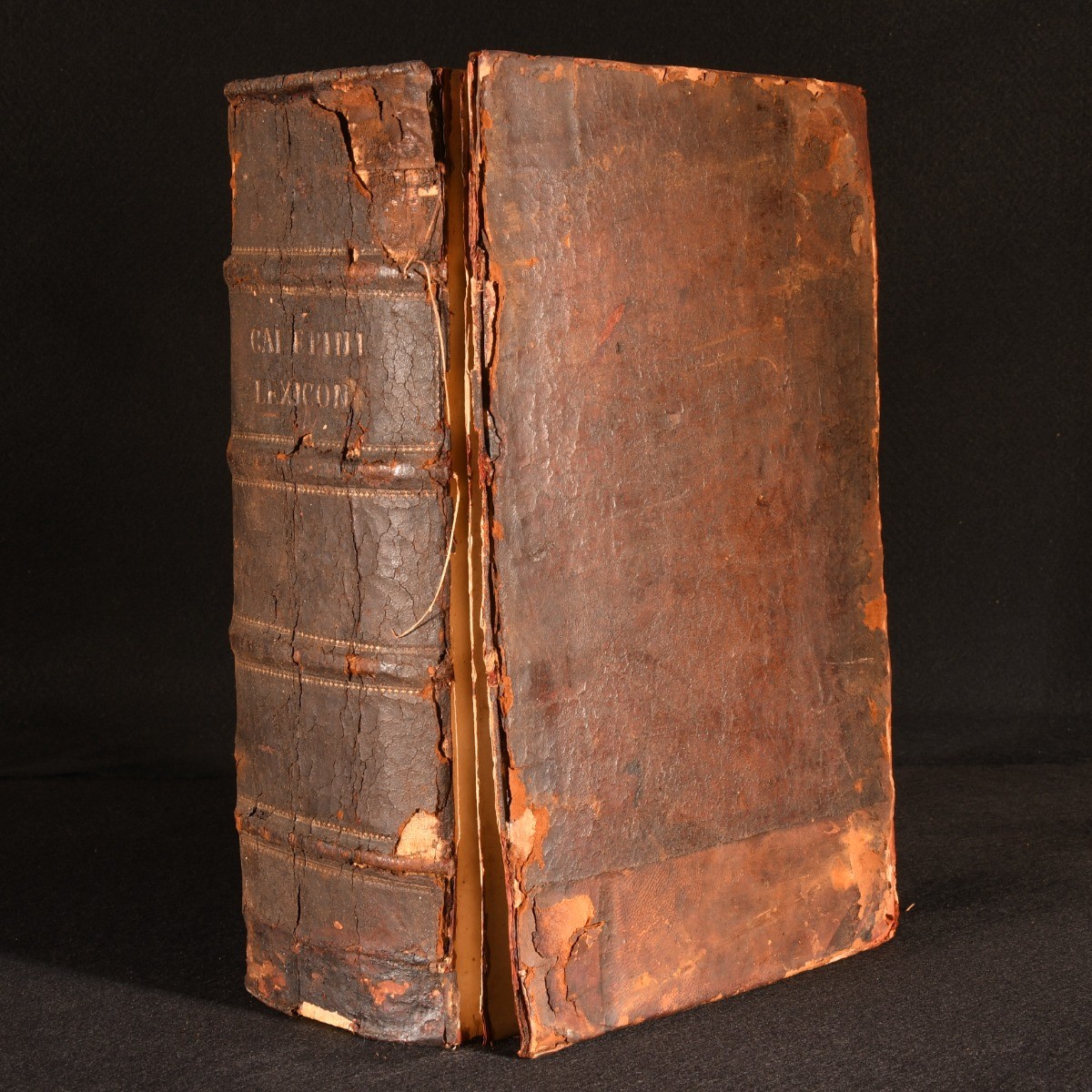 c1568 Dictionarium Hexaglottum Hexaglot Dictionary Ambrogio Calepino