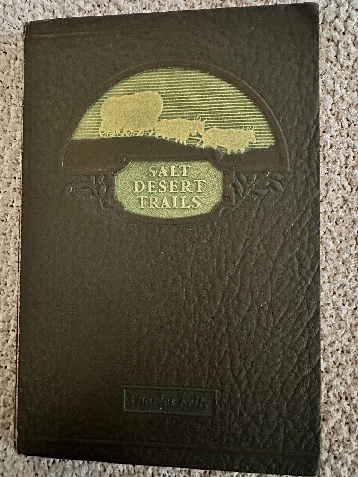 1930 1st Ed., Salt Desert Trails, Charles Kelly (signed), Illustrated