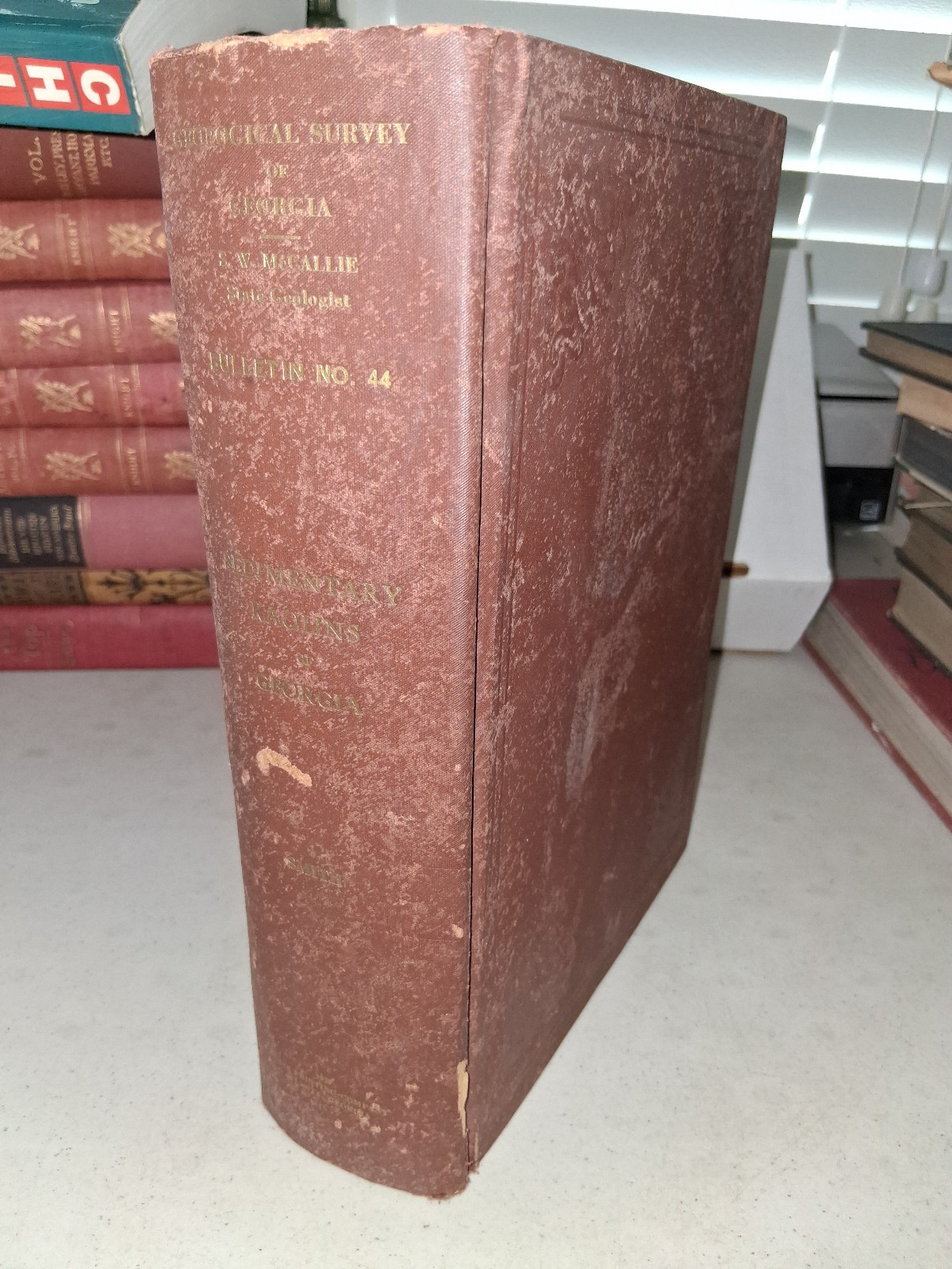 1929 Geological Survey Of Georgia 44 Sedimentary Kaolins Coastal Plain w/map
