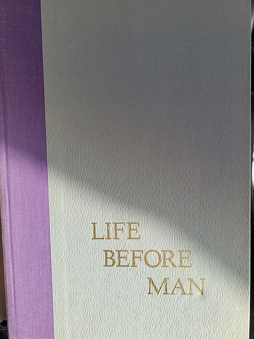 Life Before Man By Margaret Atwood 1979. Hcdj