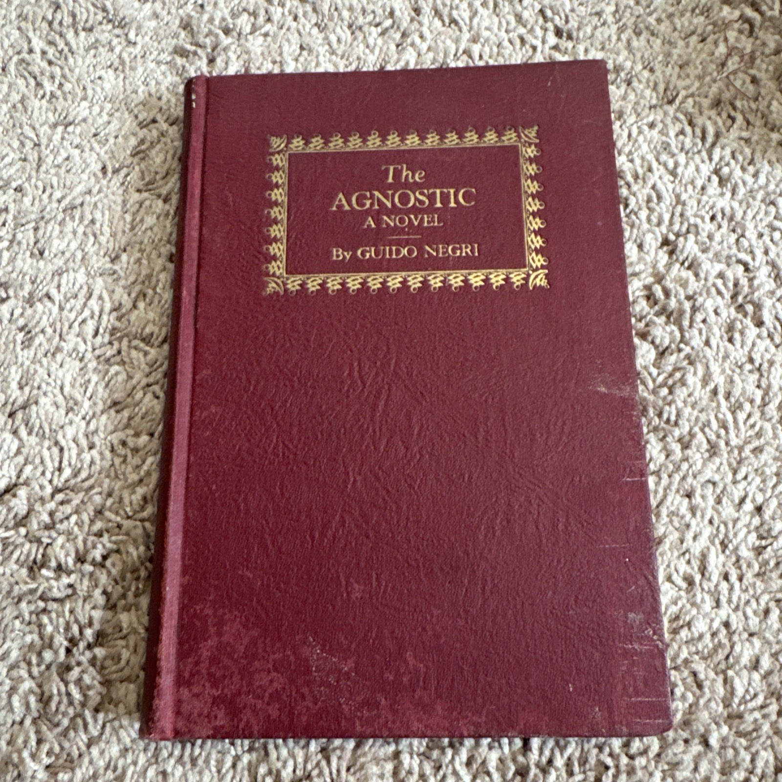 The Agnostic: A Novel By Guido Negri HB 1929 The Ruralist Press Rare Vintage
