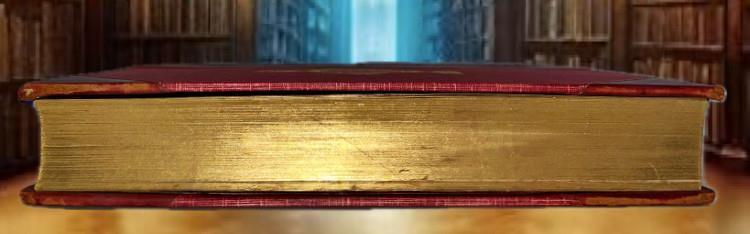 Antique EVOLUTION Darwin GOD Devine Creation FINE PRIZE BINDING VG