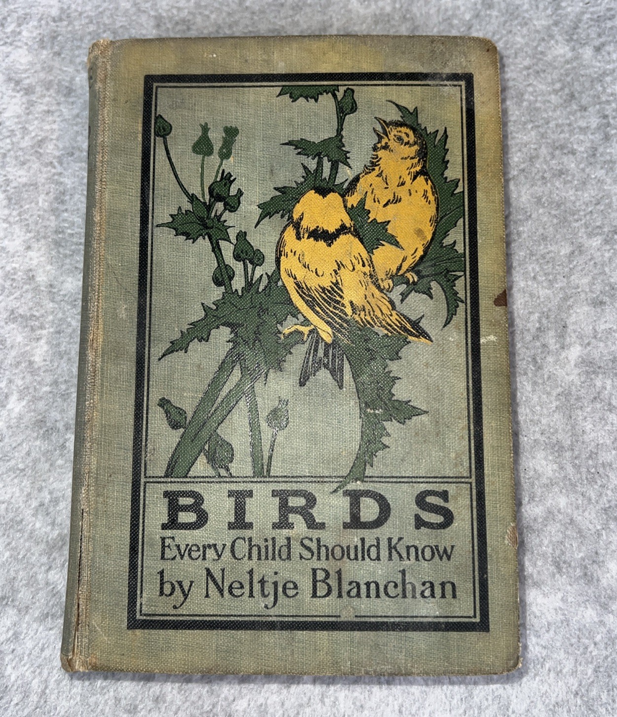 Antique Birding Book – Birds Every Child Should Know By Neltje Blanchan